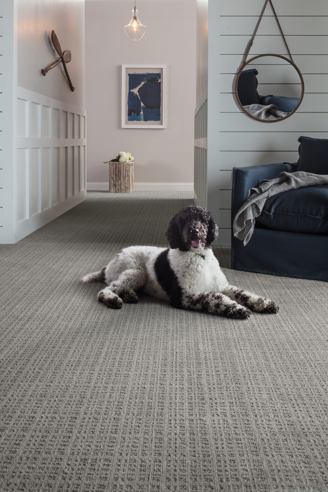 PURRSUASION BACKDROP StaticImage01