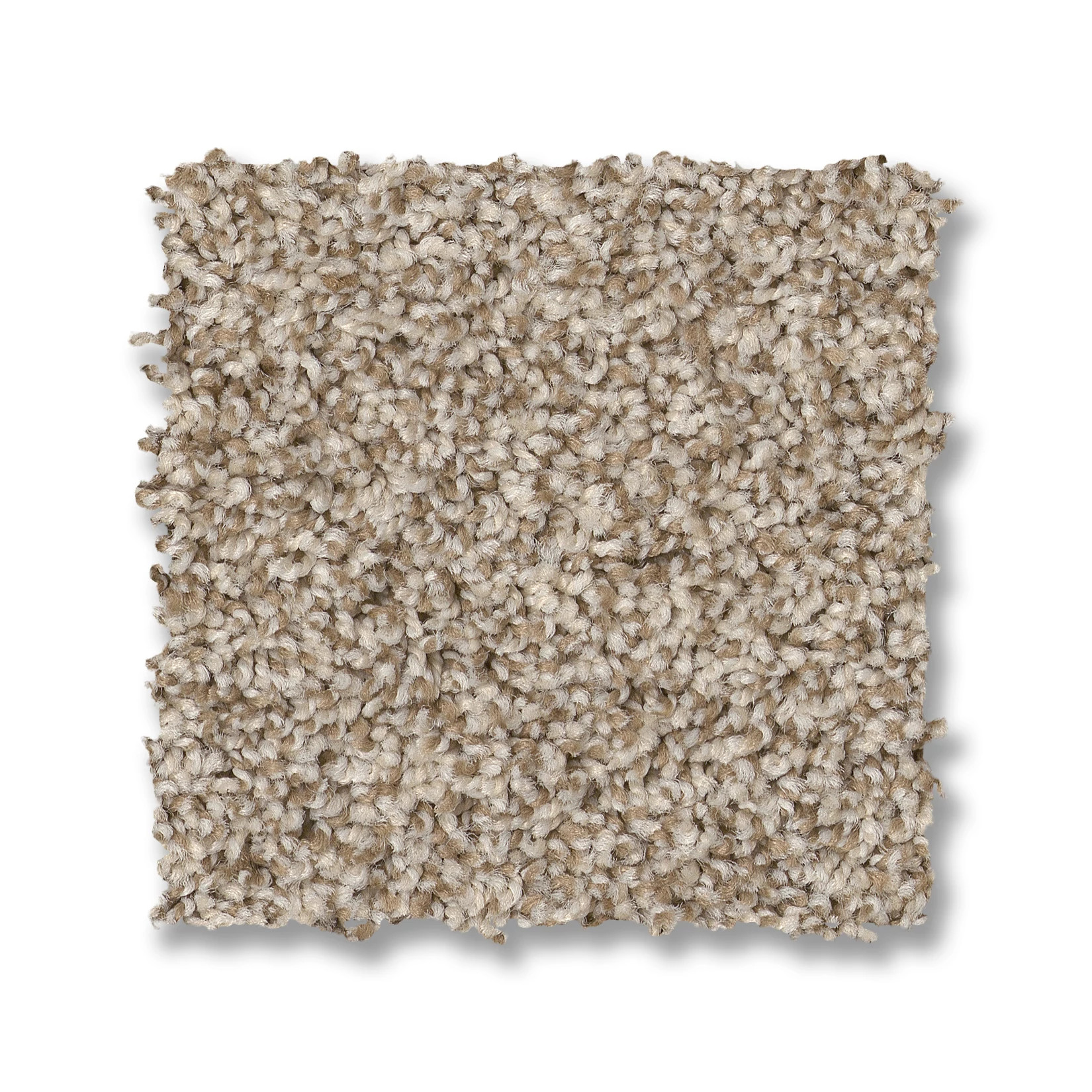 VIA NOVA MEDITATION SWATCH