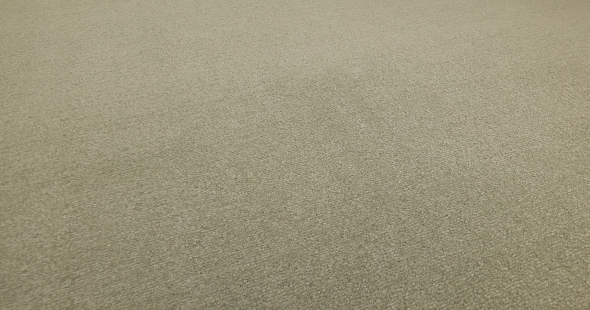 Scepter II Khaki Rotation360
