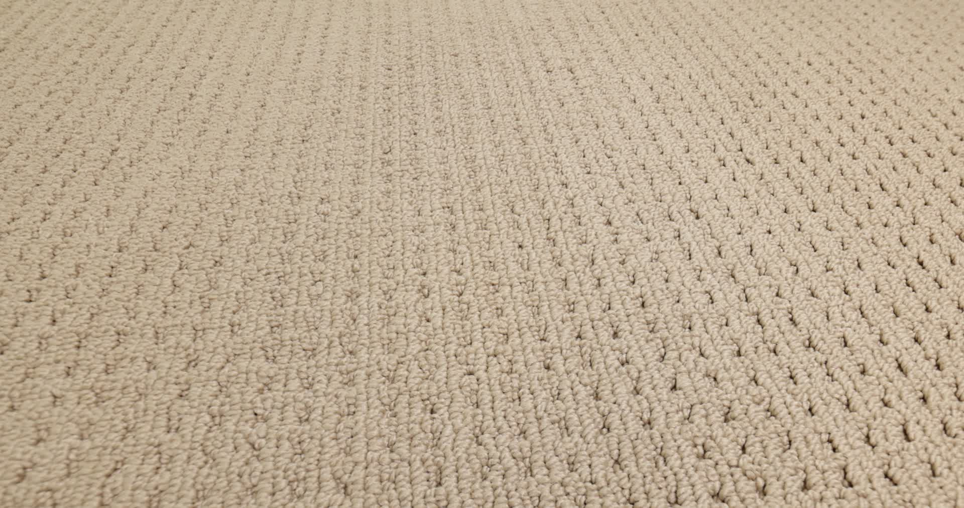 SAN LUCAS GOLDEN 360PROD