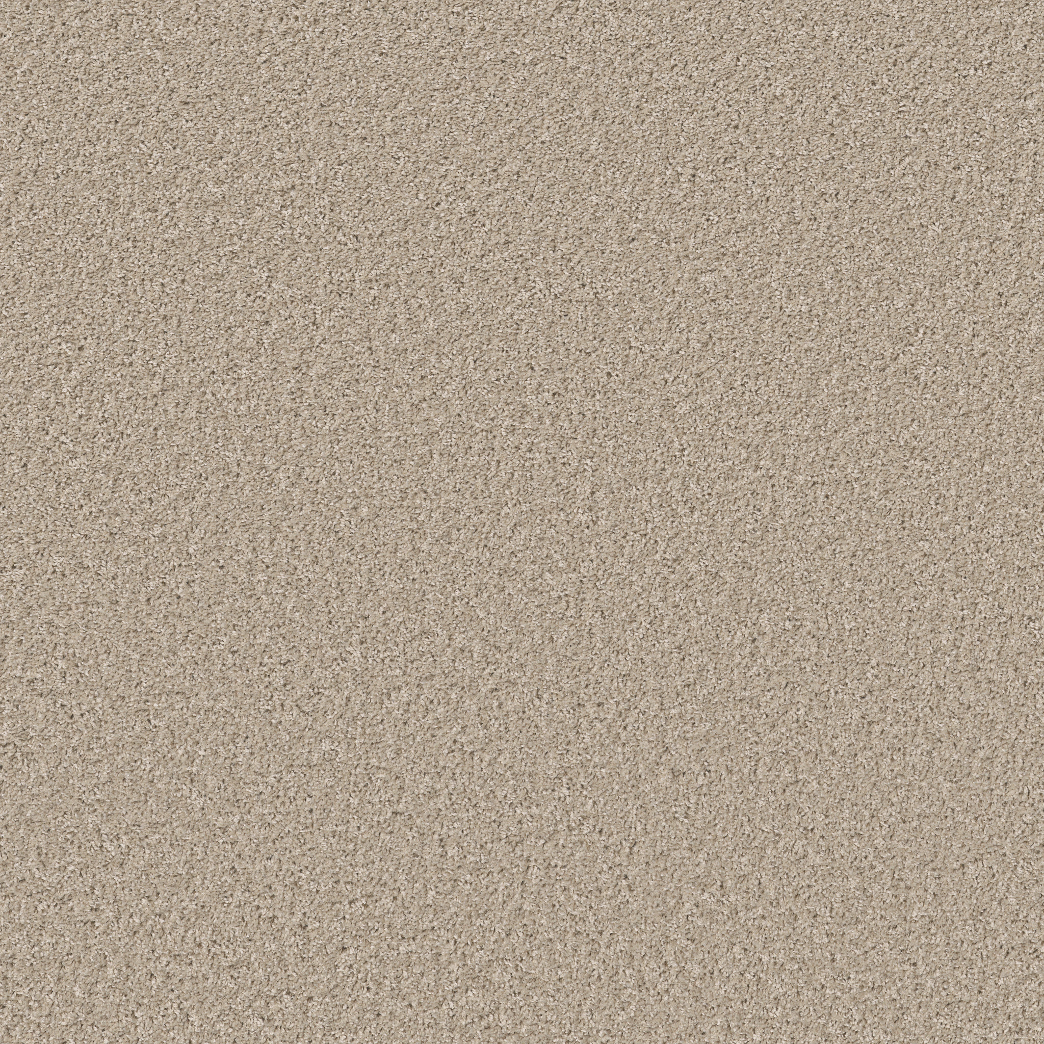 SHAKE IT UP (S) SEA FLOOR MAIN