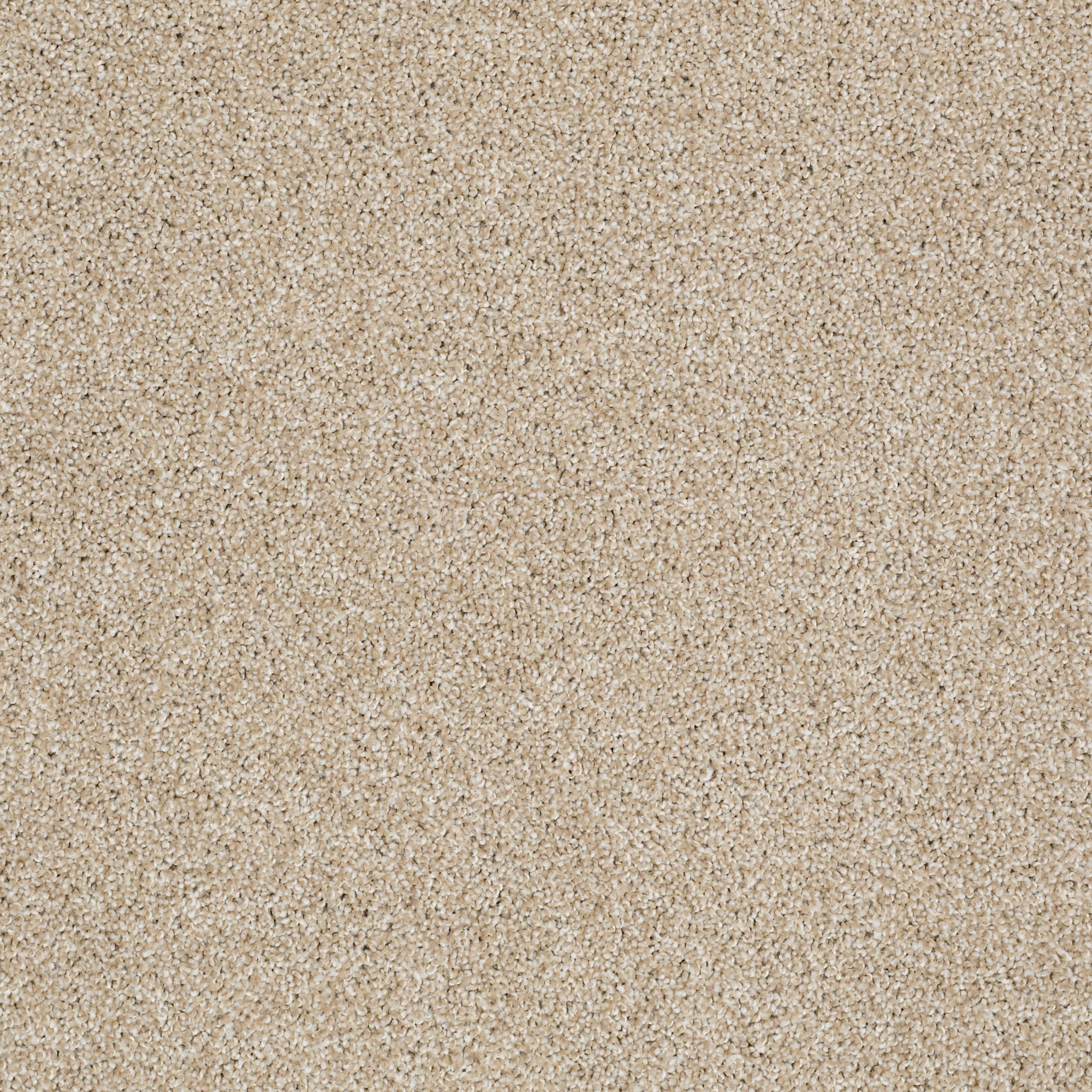 ALWAYS READY I GOLD RUSH MAIN