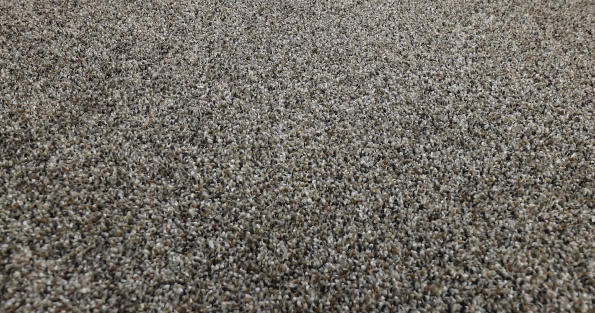 ARTISTIC FUSION I CAFE NOIR 360PROD