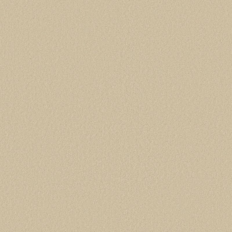 Sandy Hollow Classic IV 15 broadloom carpet in Chinchilla color, 100% nylon material, 15ft wide