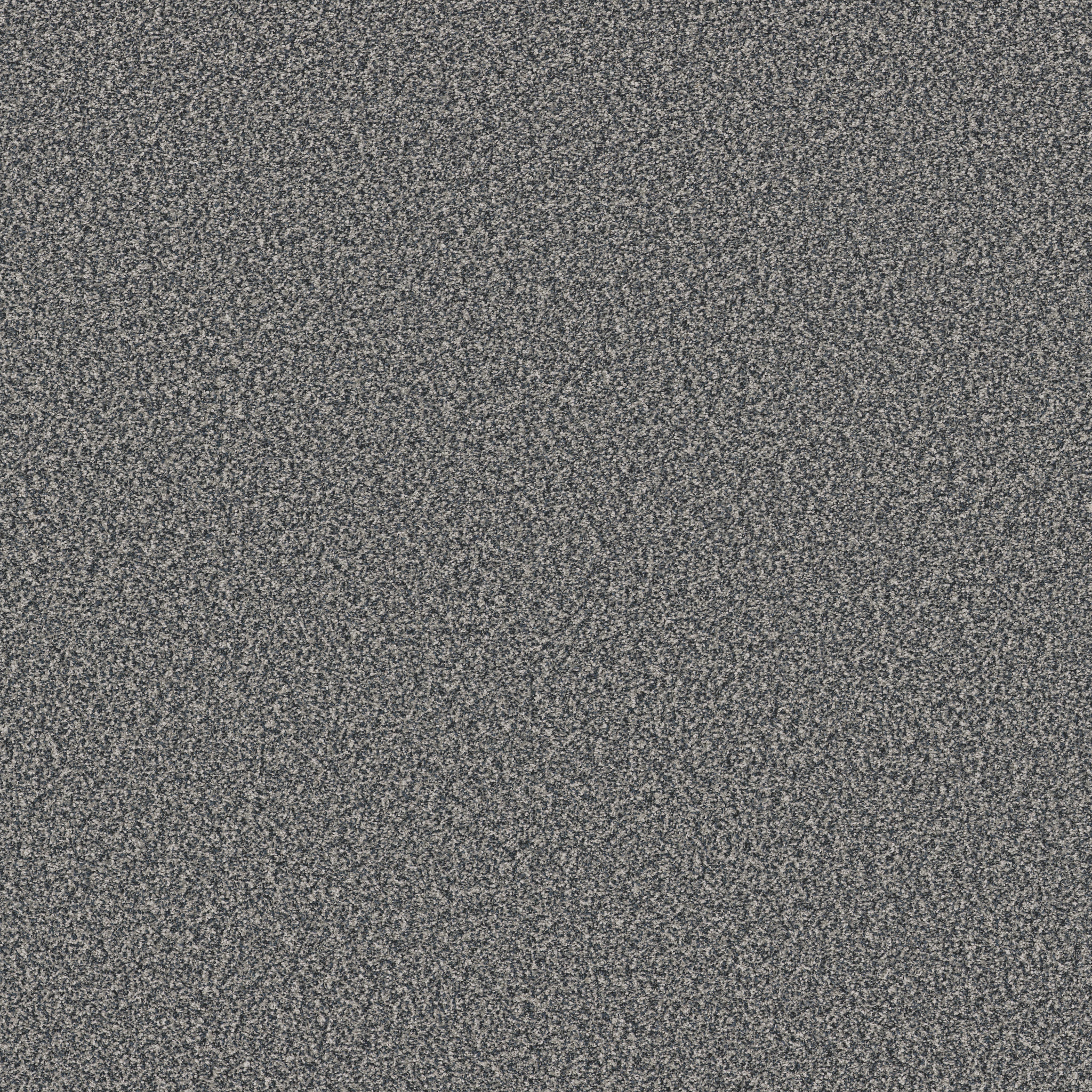 TWEED COMFORT BLUE CAROLINA MAIN