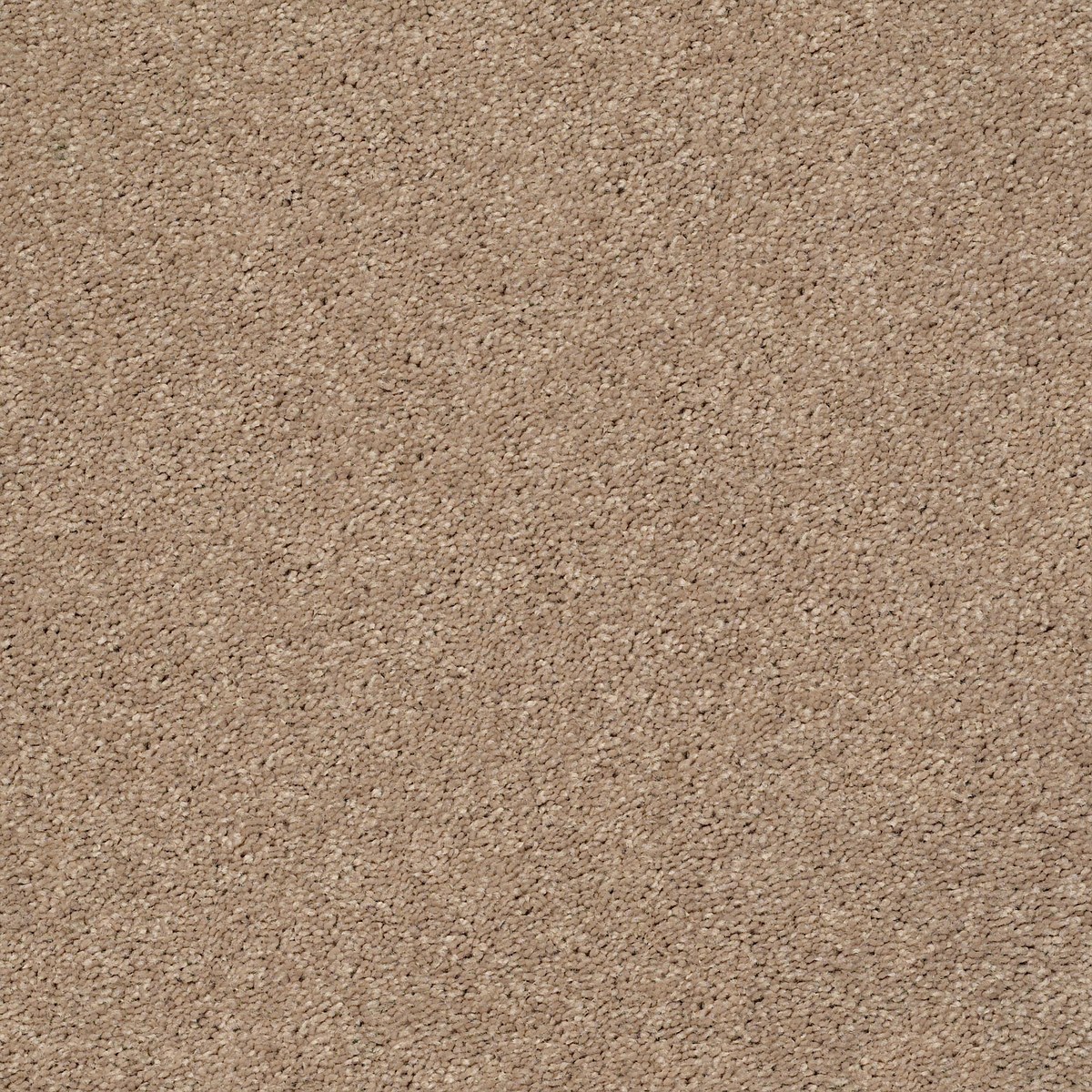 CABANA LIFE SOLID — CAMEL