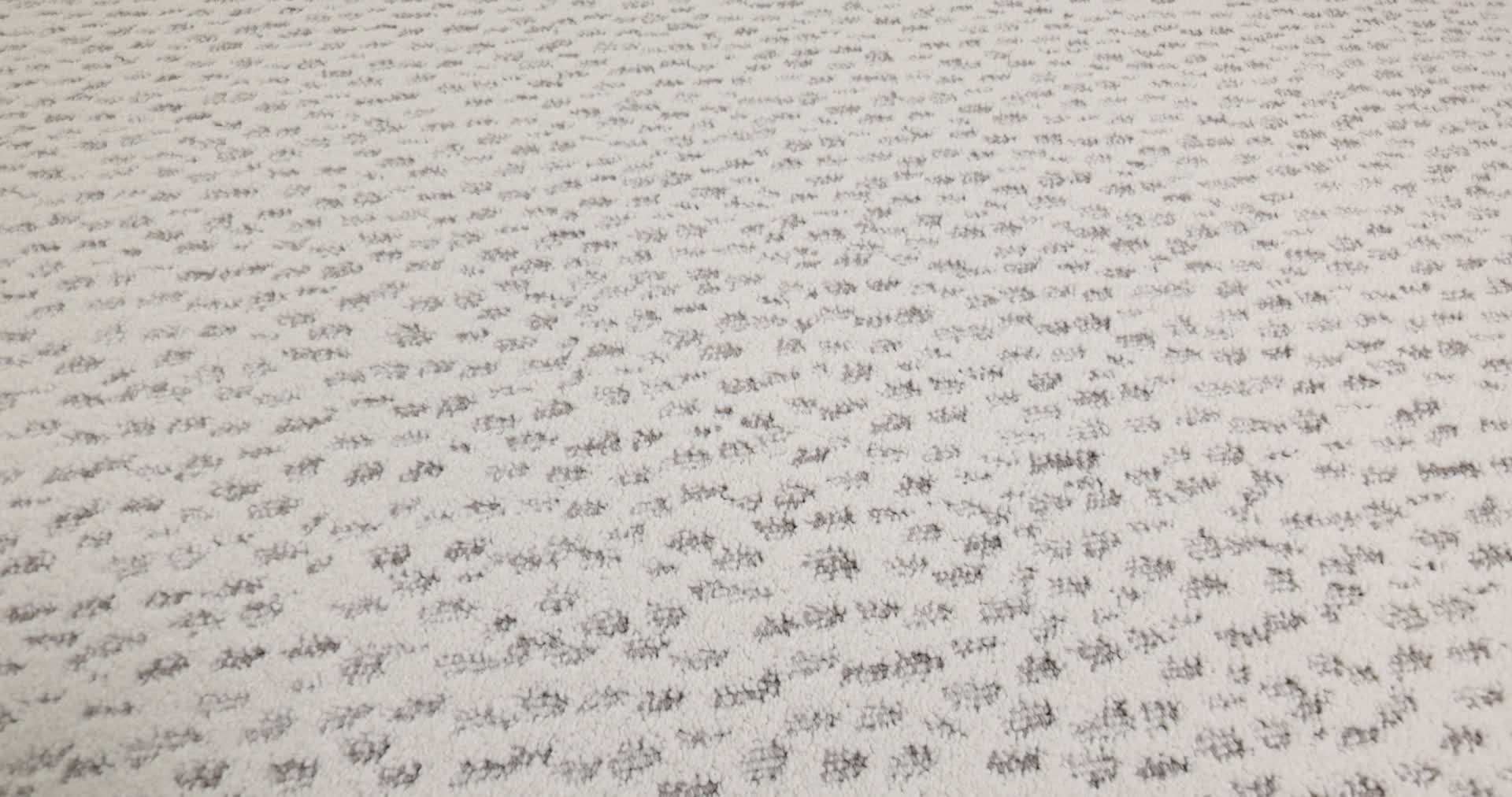 AMBITIOUS FIRST FROST 360PROD