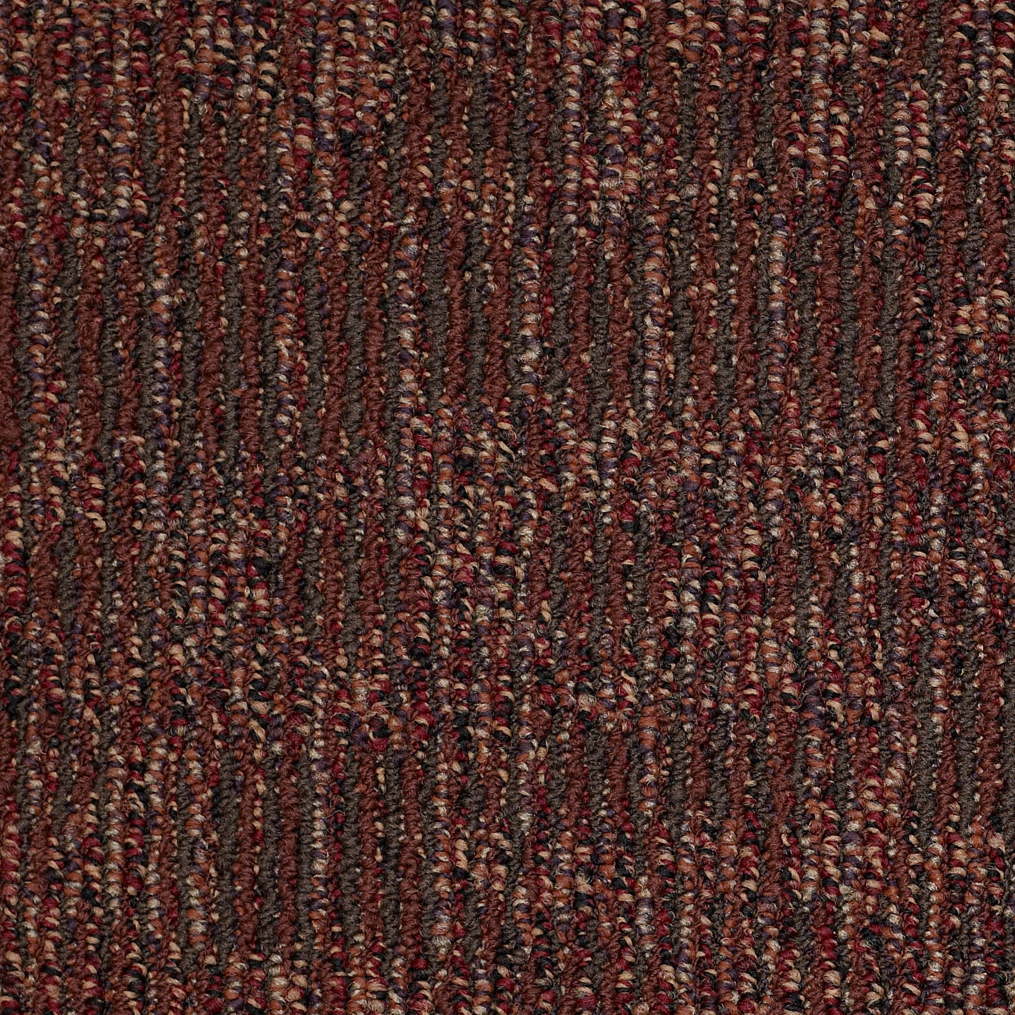 CHAIN-REACTION-J0115-SPAM-00801-main-image
