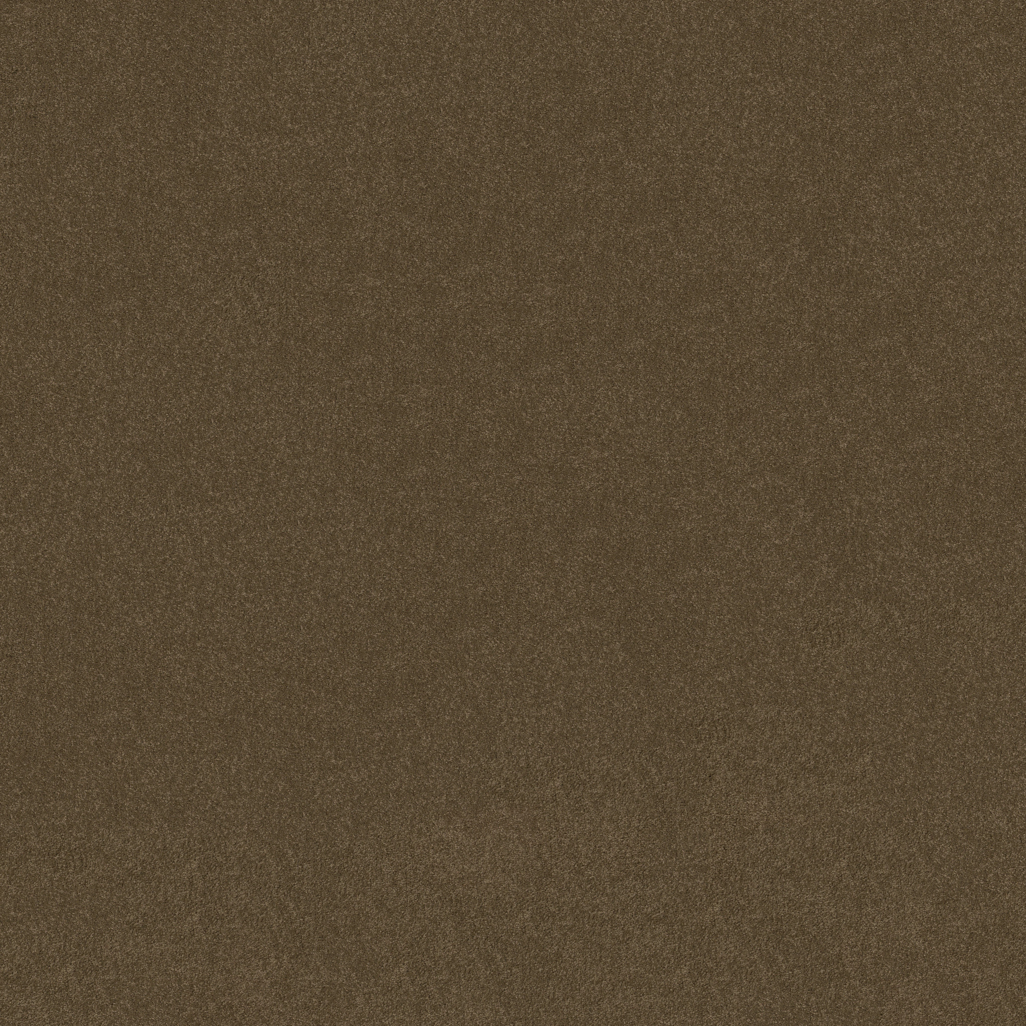 CORNER CAFE 15' PINE CONE MAIN