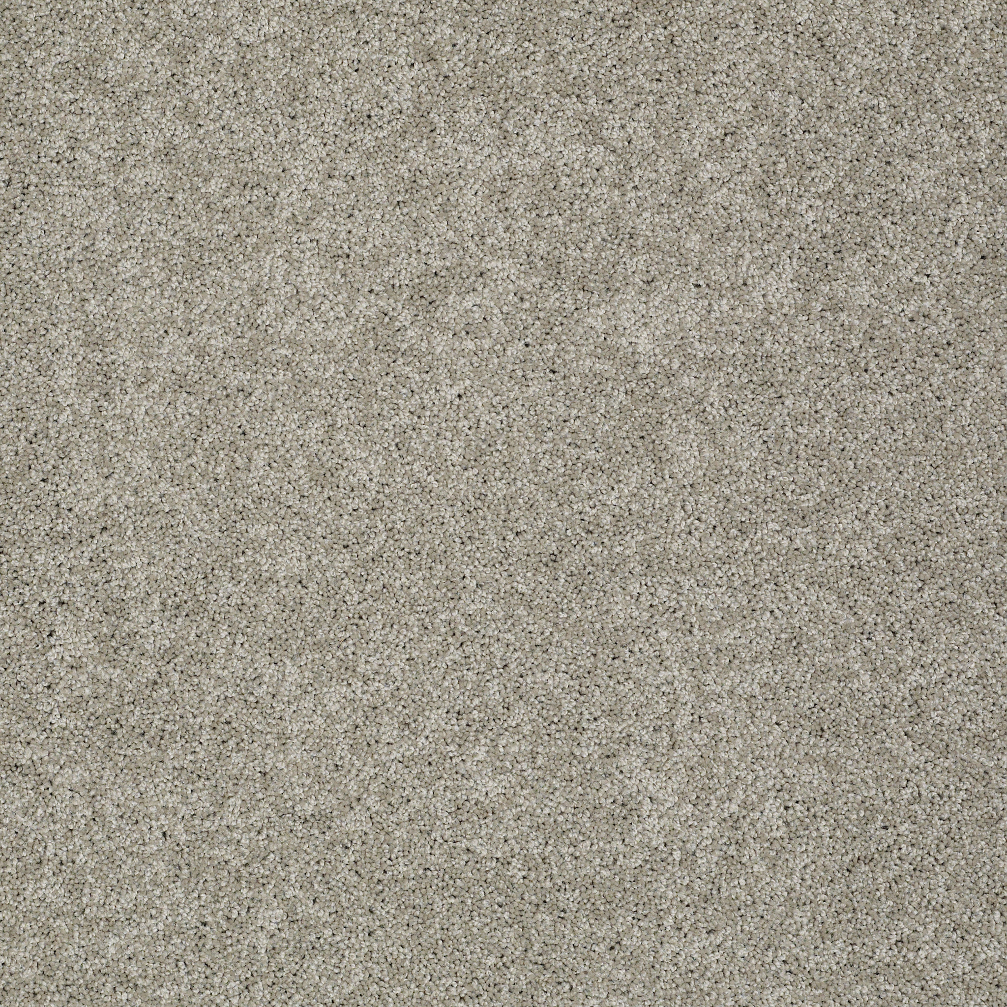 AG TIMELESS RICE PAPER MAIN