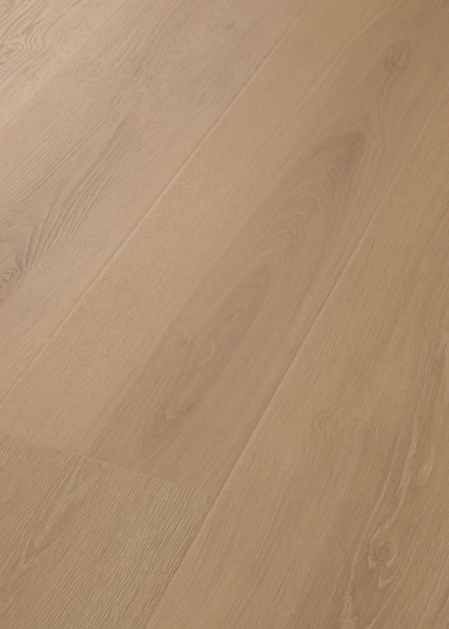 KOMONDOR FAWN GROVE ANGLED