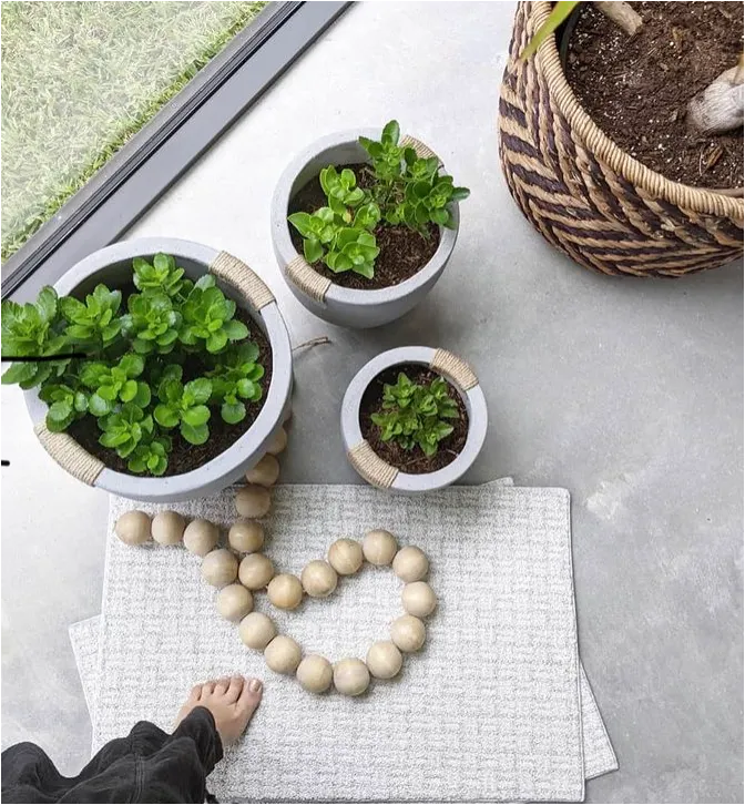 Cute succulent potted plants and carpet tiles on a concrete floor
