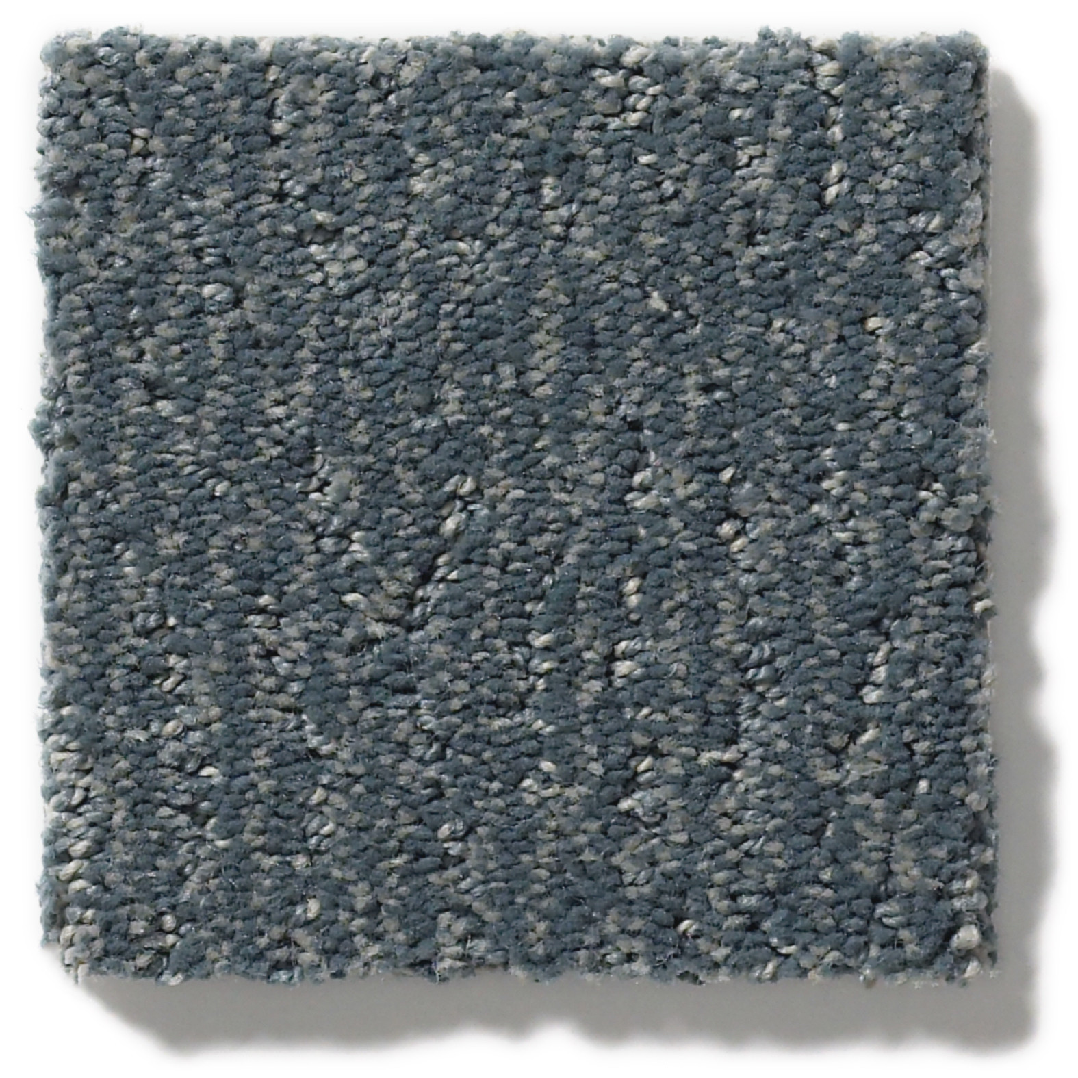 FUR-EVER WATERBURY SWATCH