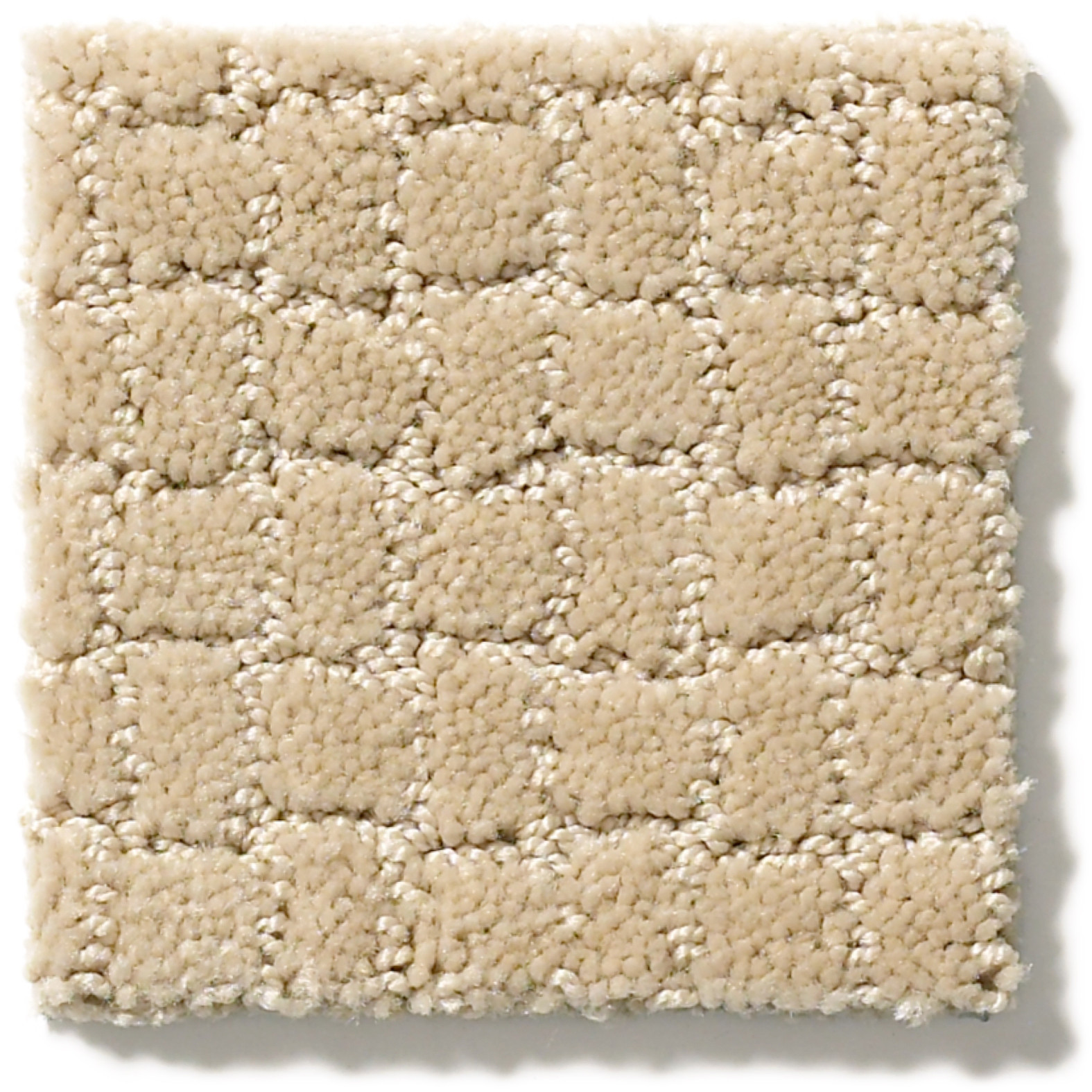 PAWSTRUCK HAZELNUT SWATCH