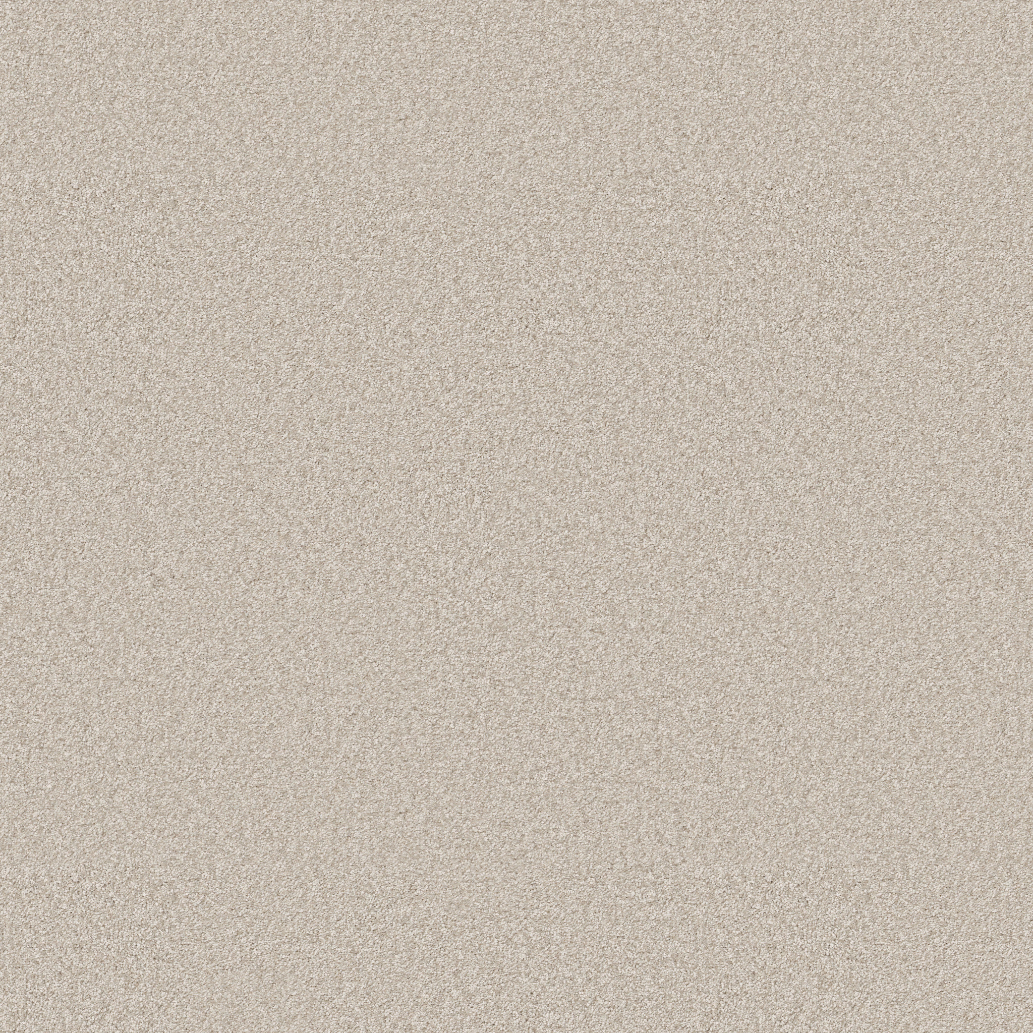 YOU GOT THIS II WARM LIGHT MAIN