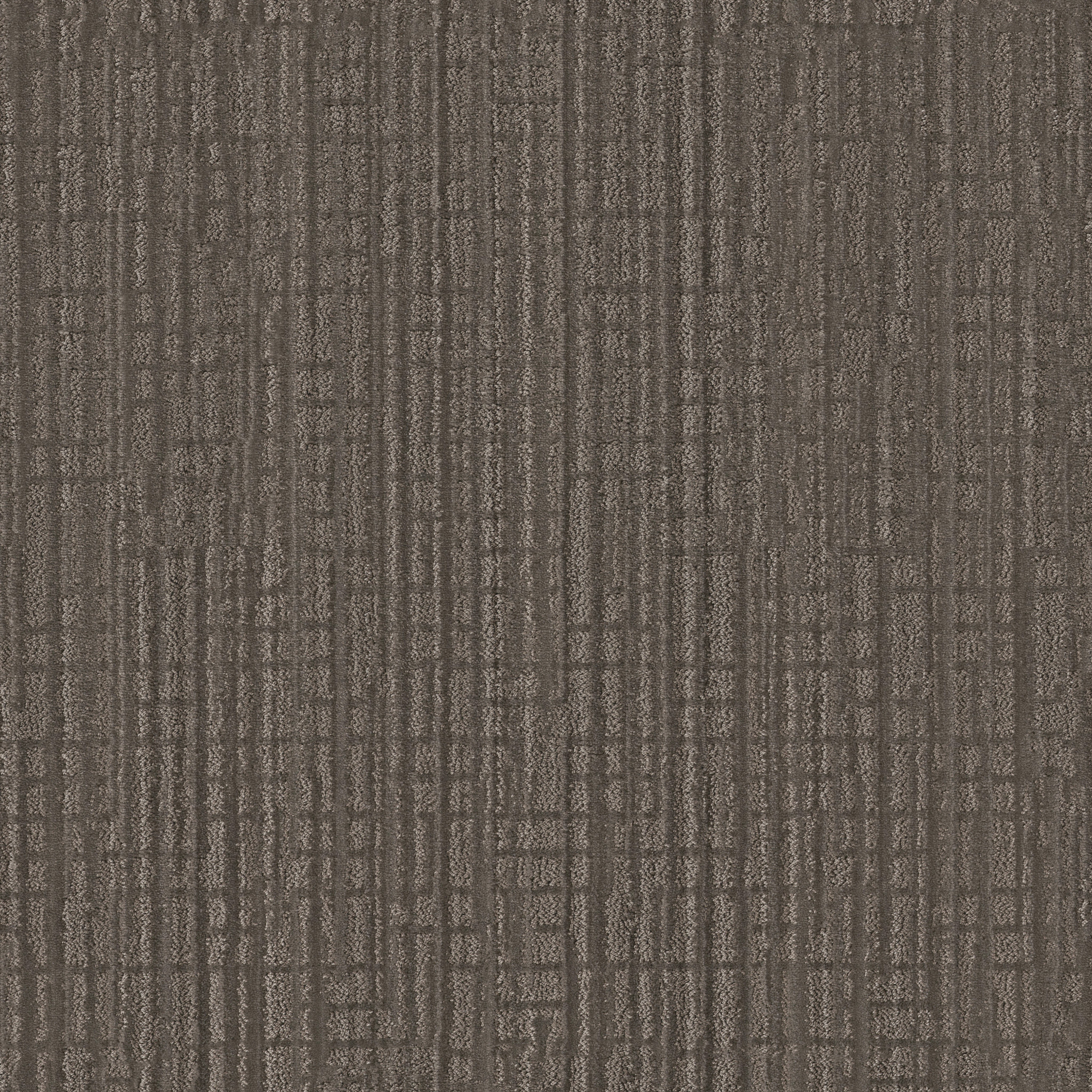 SKYLINE SHIFT TREE BARK MAIN