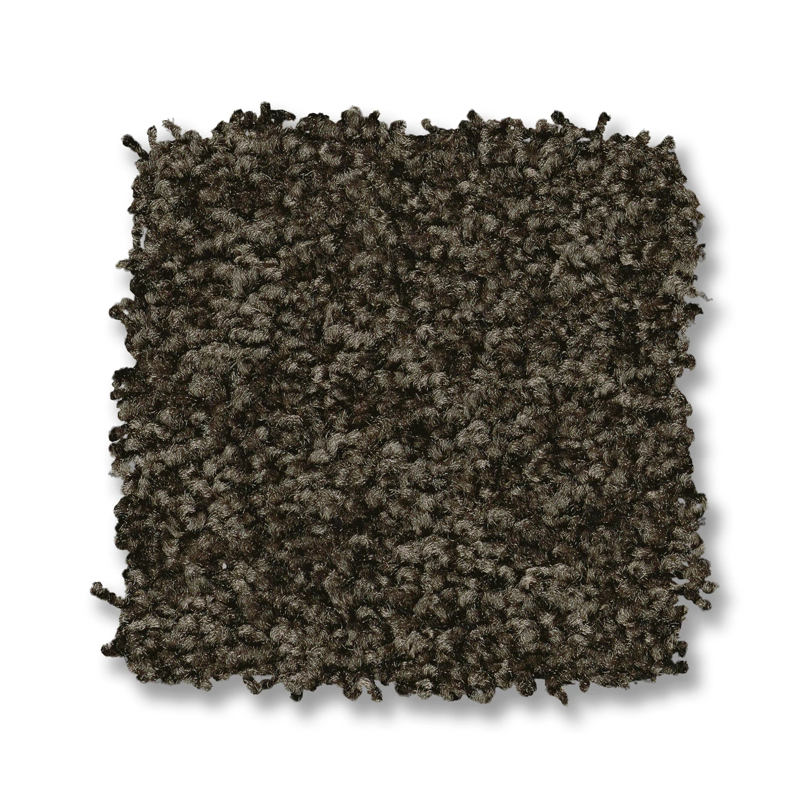 DAKOTA SPRINGS MINK SWATCH