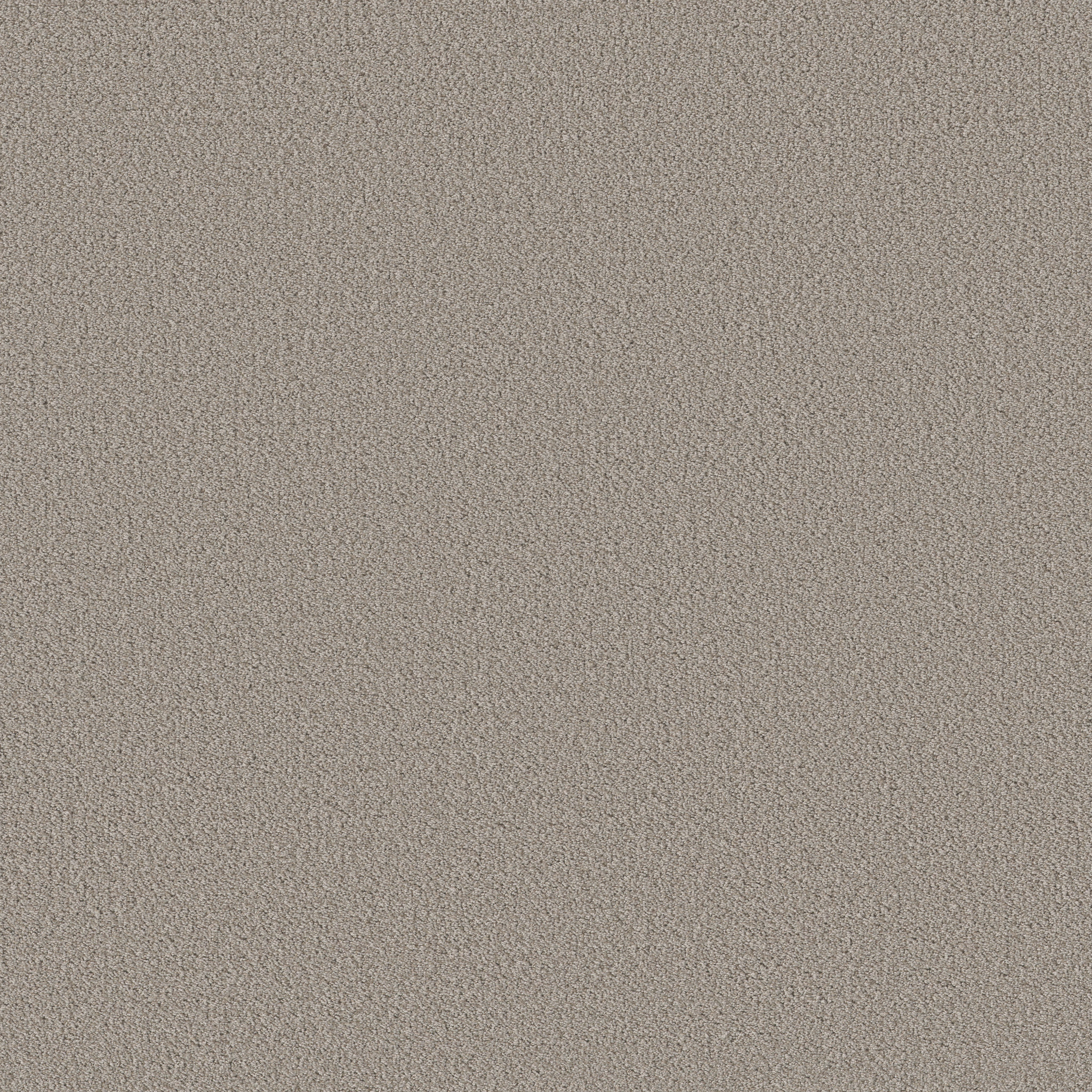 FINE TAPESTRY FOSSIL PATH MAIN