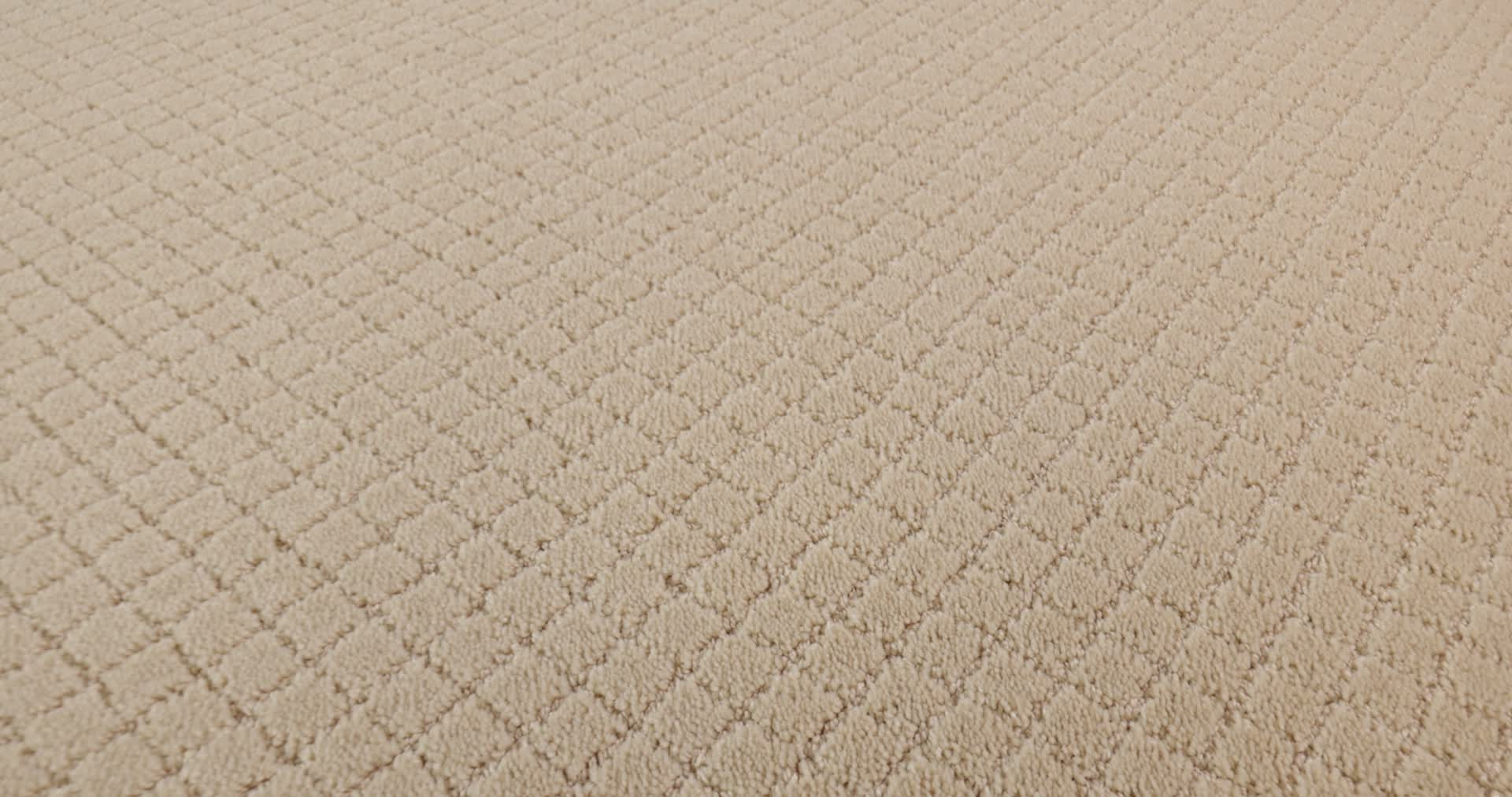 PAWNACHE ANTIQUITY 360PROD