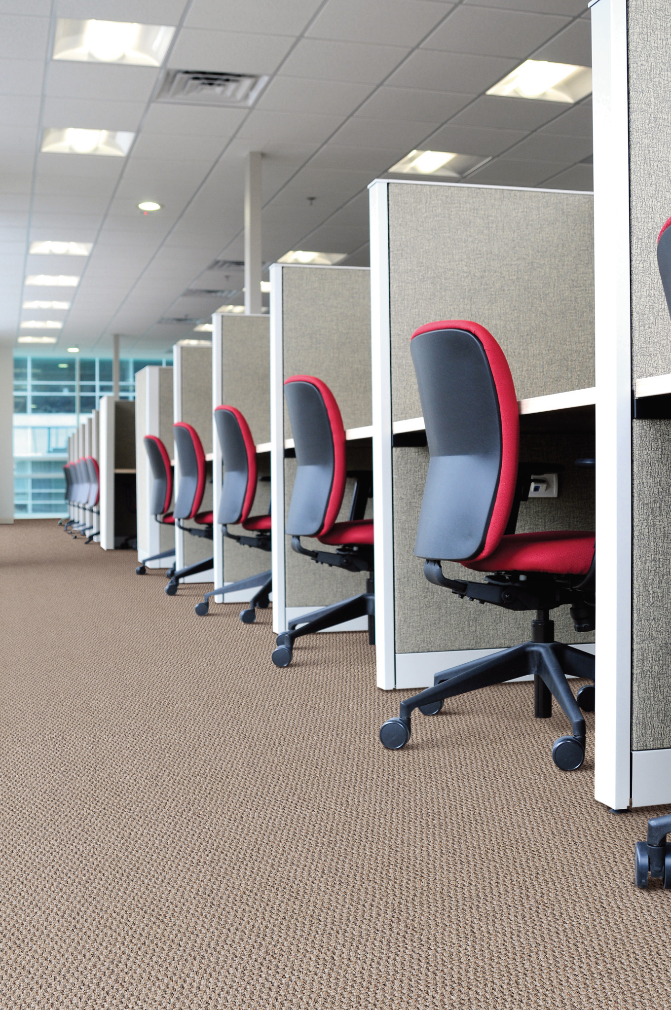 NEW BASICS 54793 QUICK 93500 room image