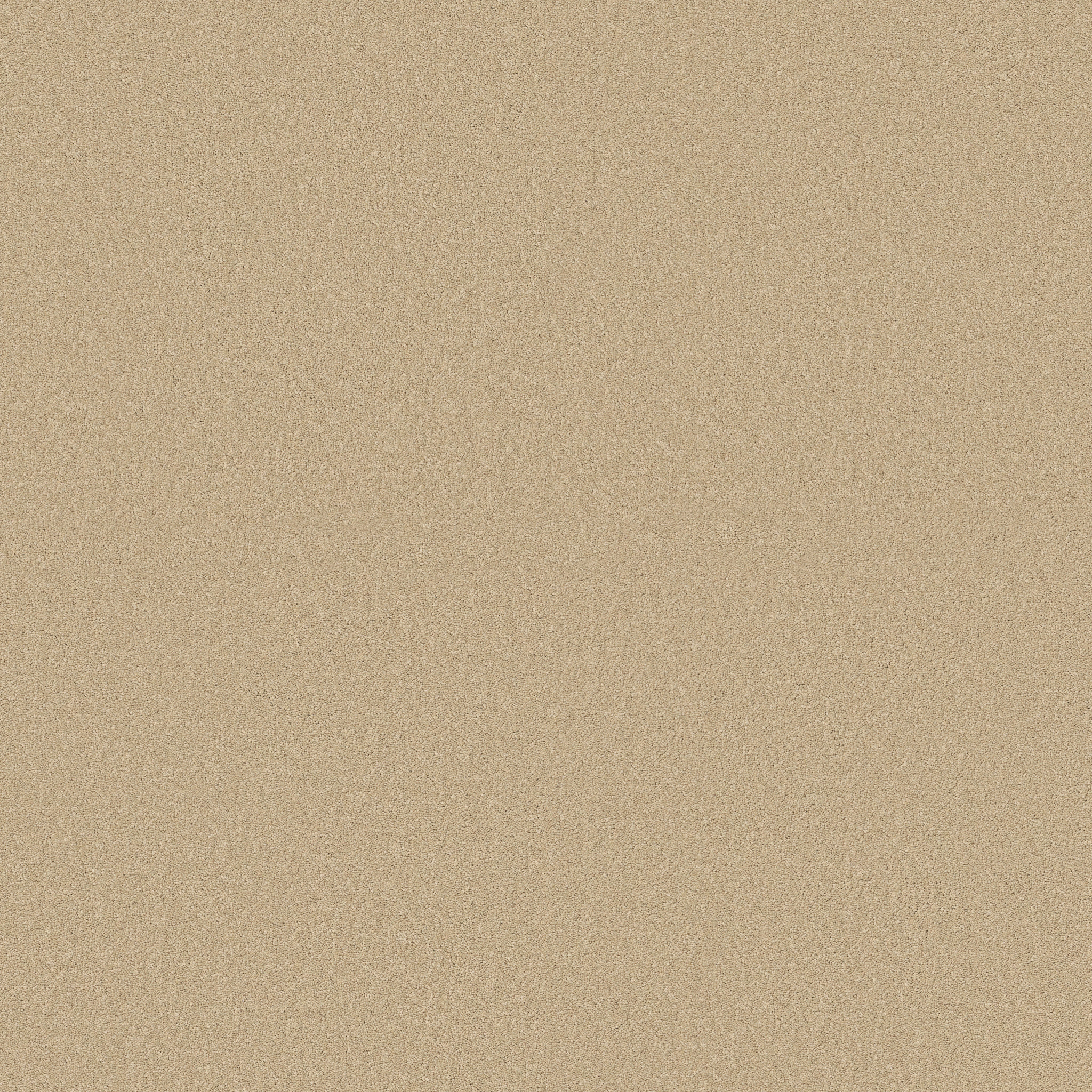 SHINGLE CREEK IV 15' CASHEW MAIN