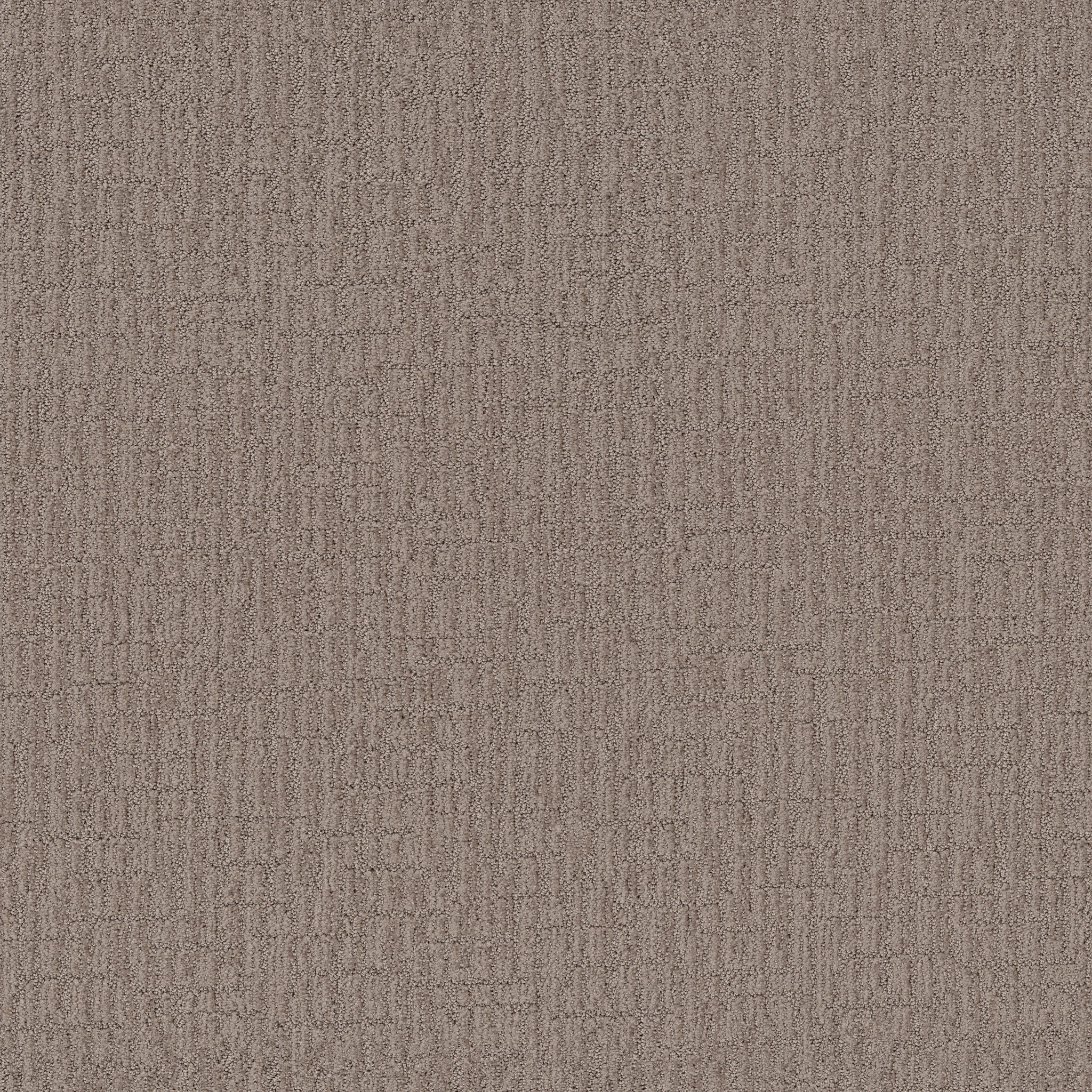 WANDERER DRIFTWOOD MAIN