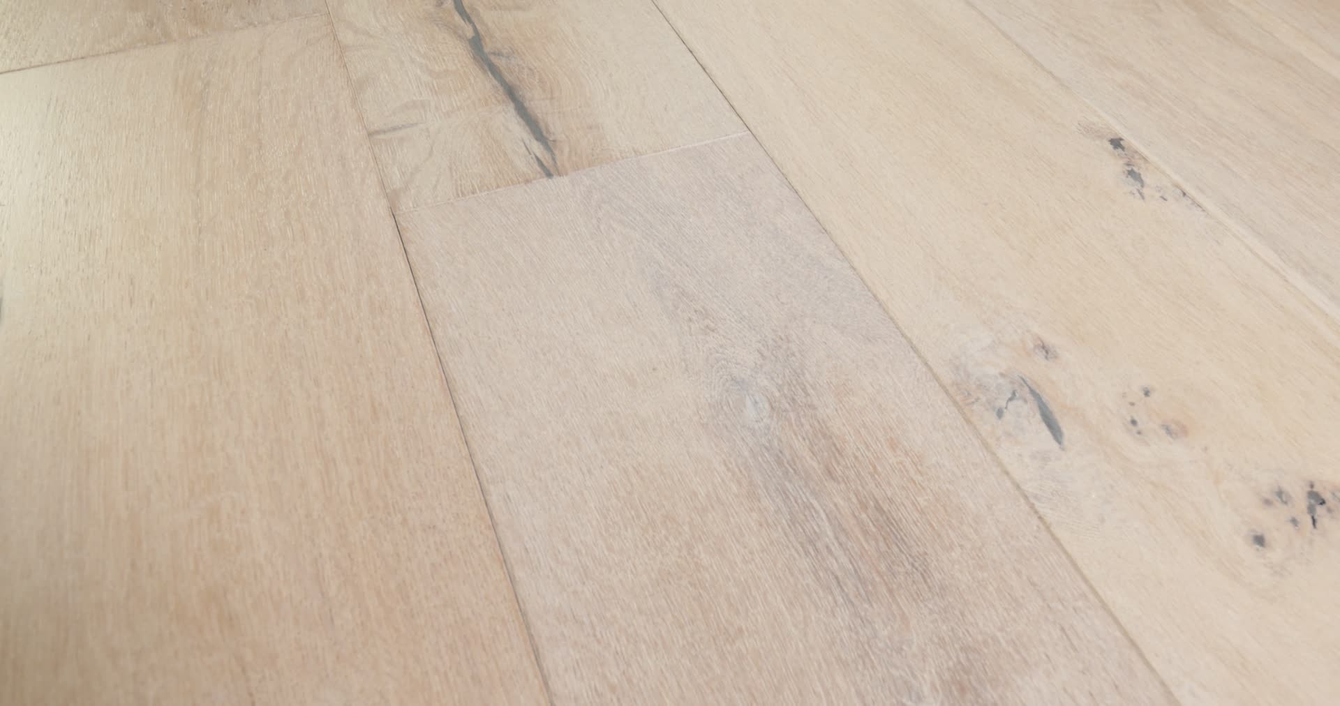 COAST TO COAST DAYBREAK 360PROD