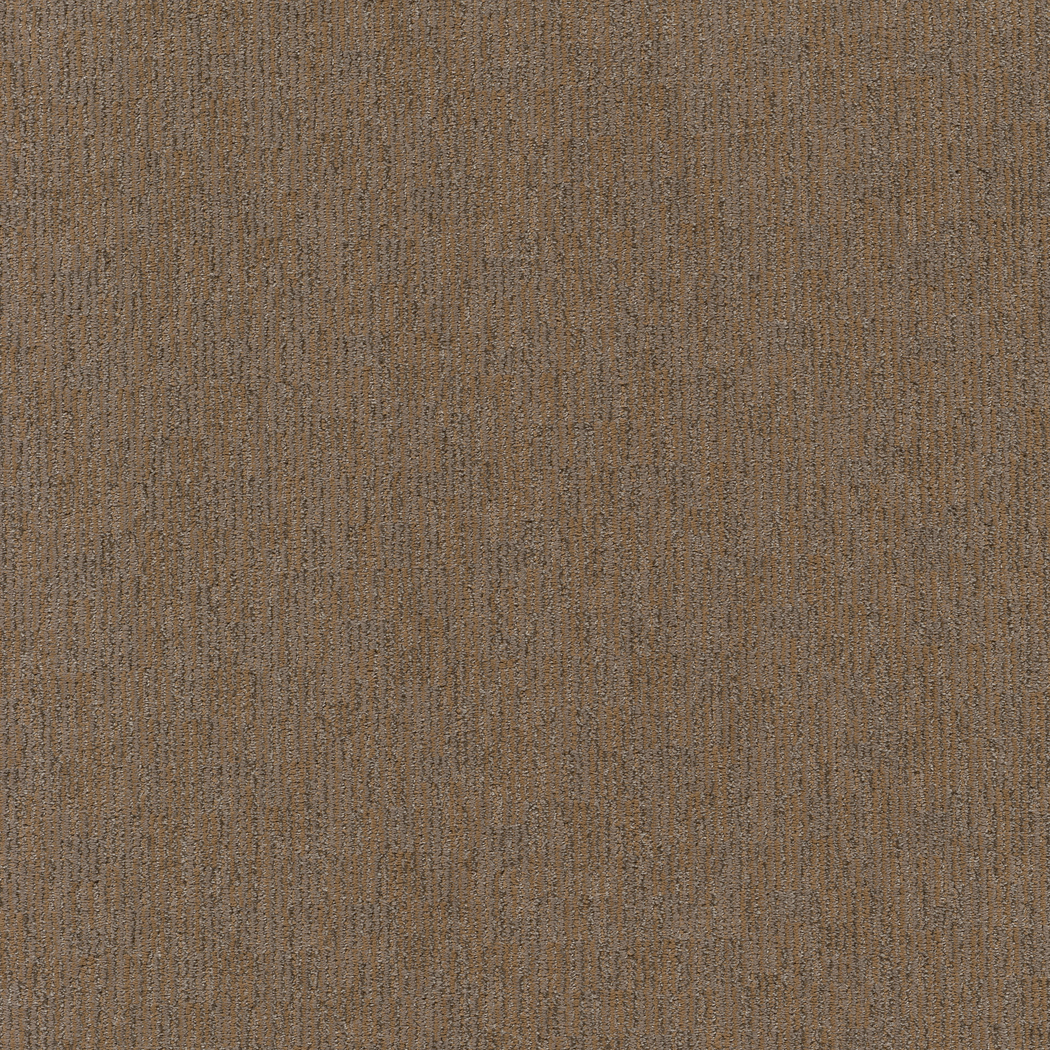 Sneak Peek - 100% ANSO® High Performance PET in Leather Work