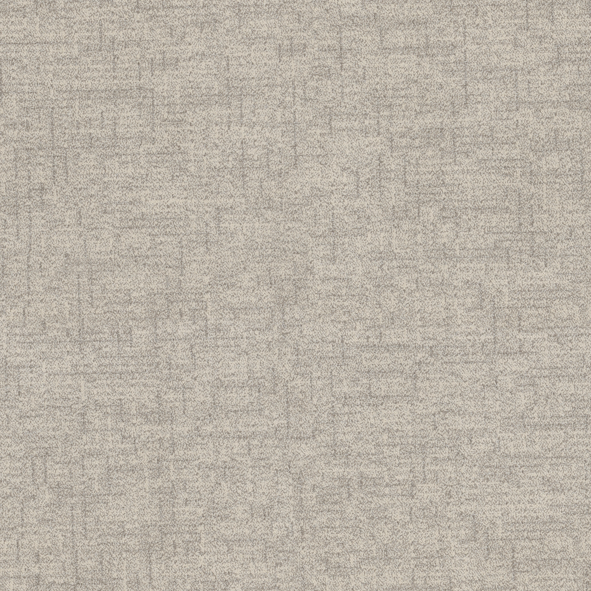 SILHOUETTE ARCTIC HARE MAIN