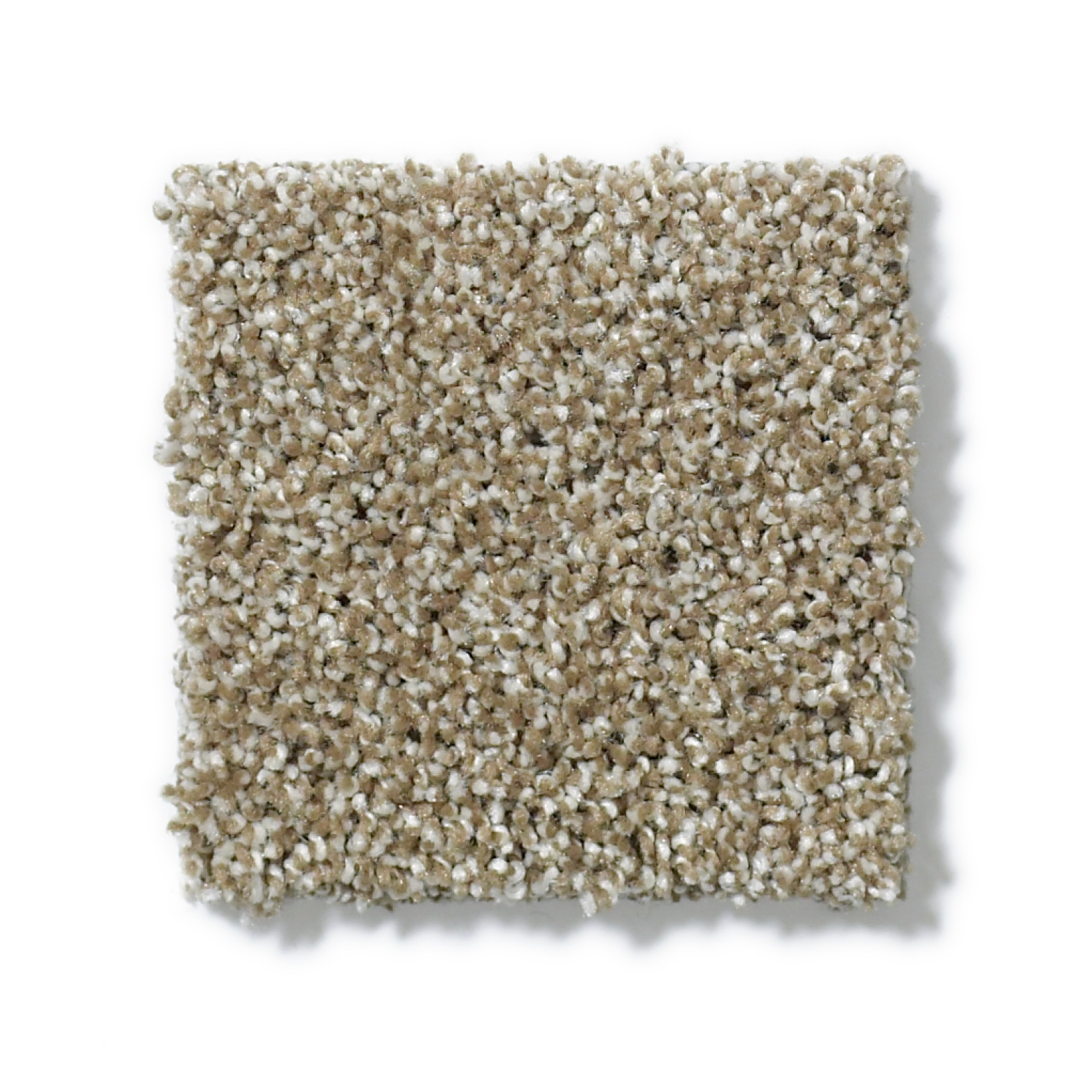 CANVAS PRAIRIE SWATCH