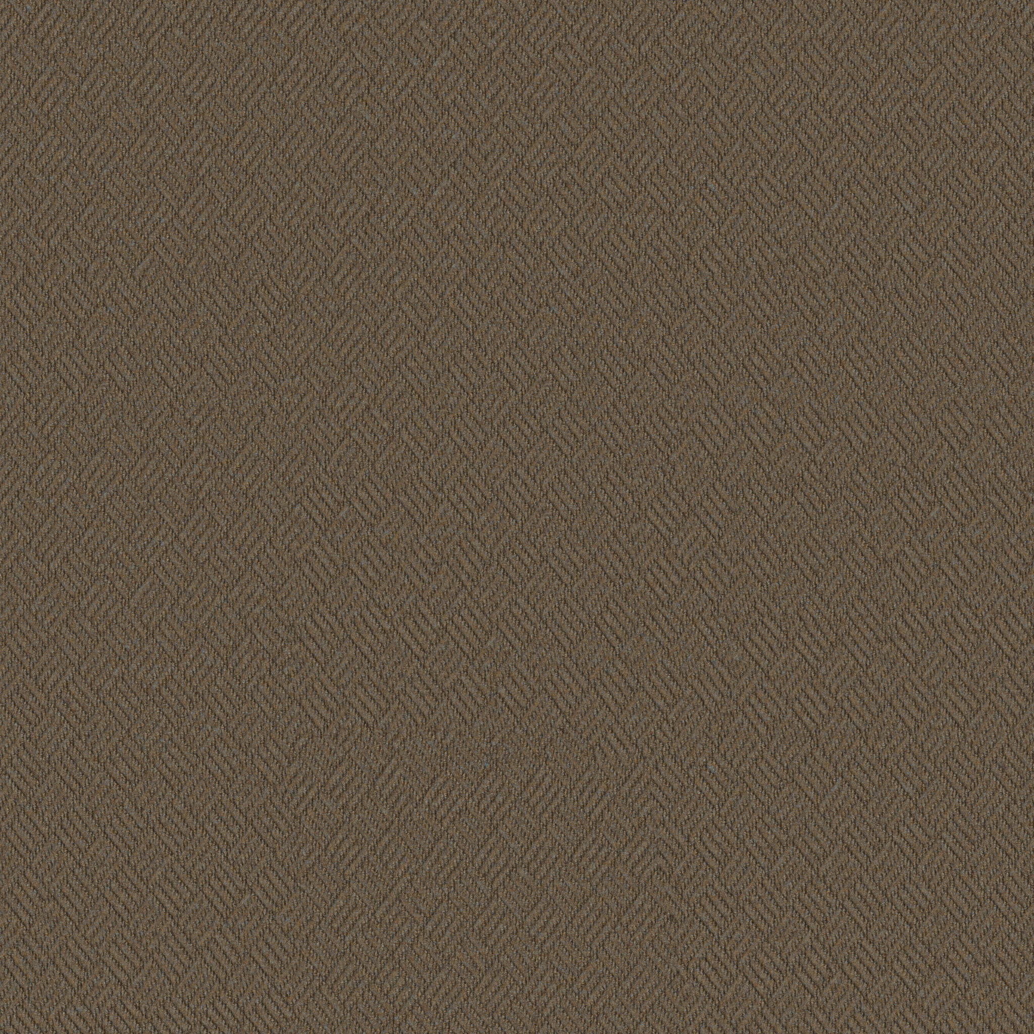 DREAMWEAVER 54690 DRAGONFLY 00701 main image