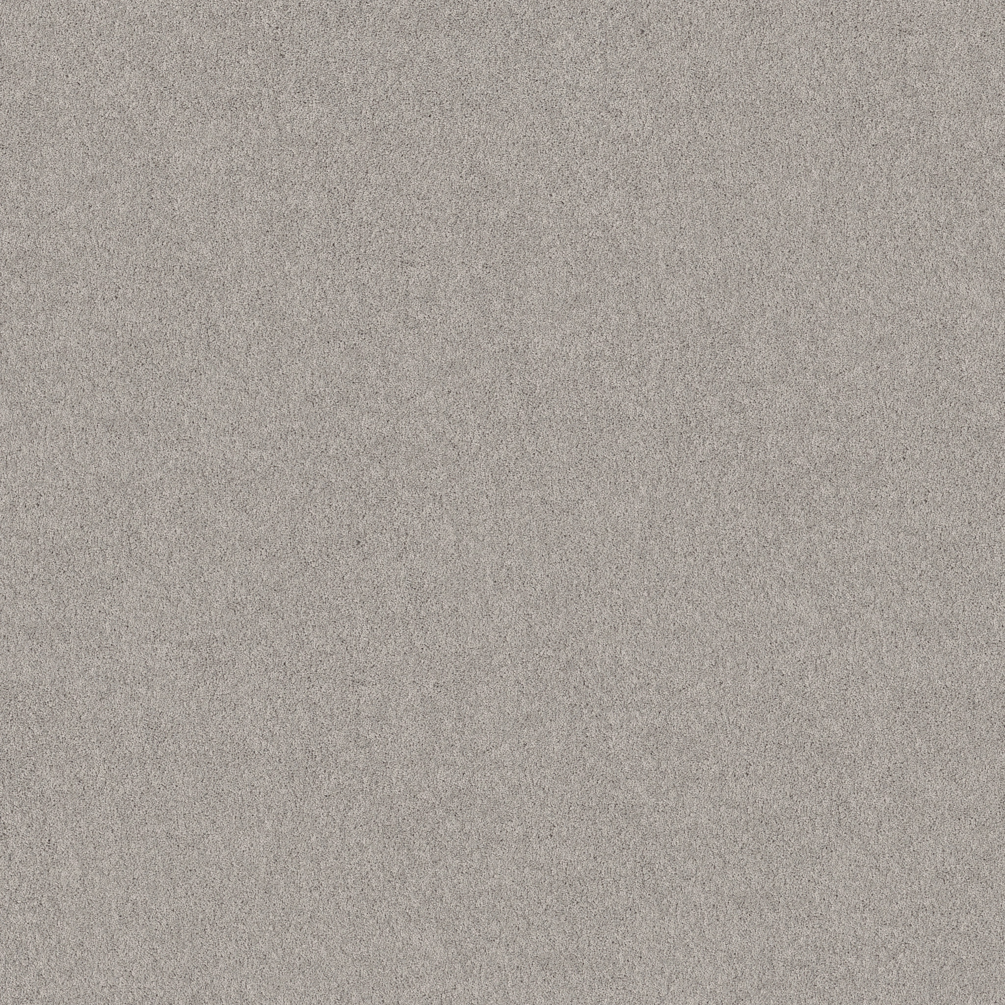 PURE AFFECTION S CHAIN REACTION MAIN