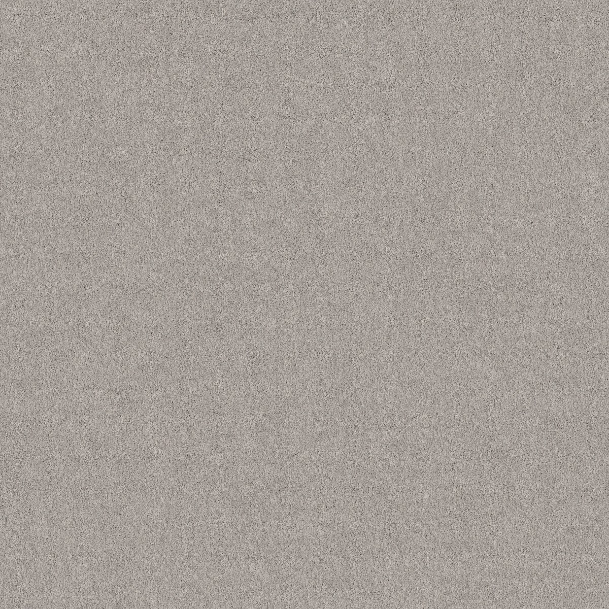 Shaw Floors PURE AFFECTION S — CHAIN REACTION