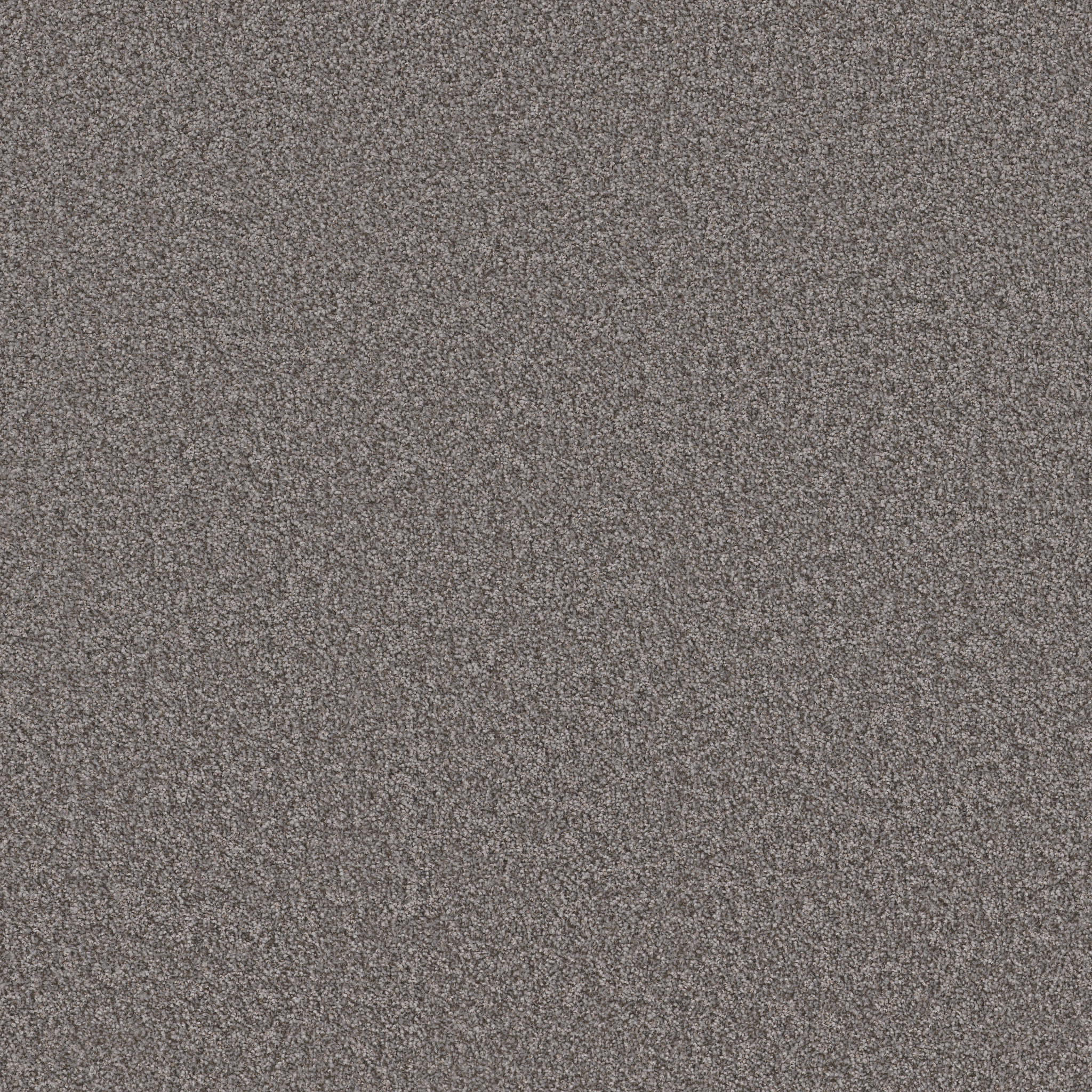 TAKE AWAY (T) TRUFFLE MAIN