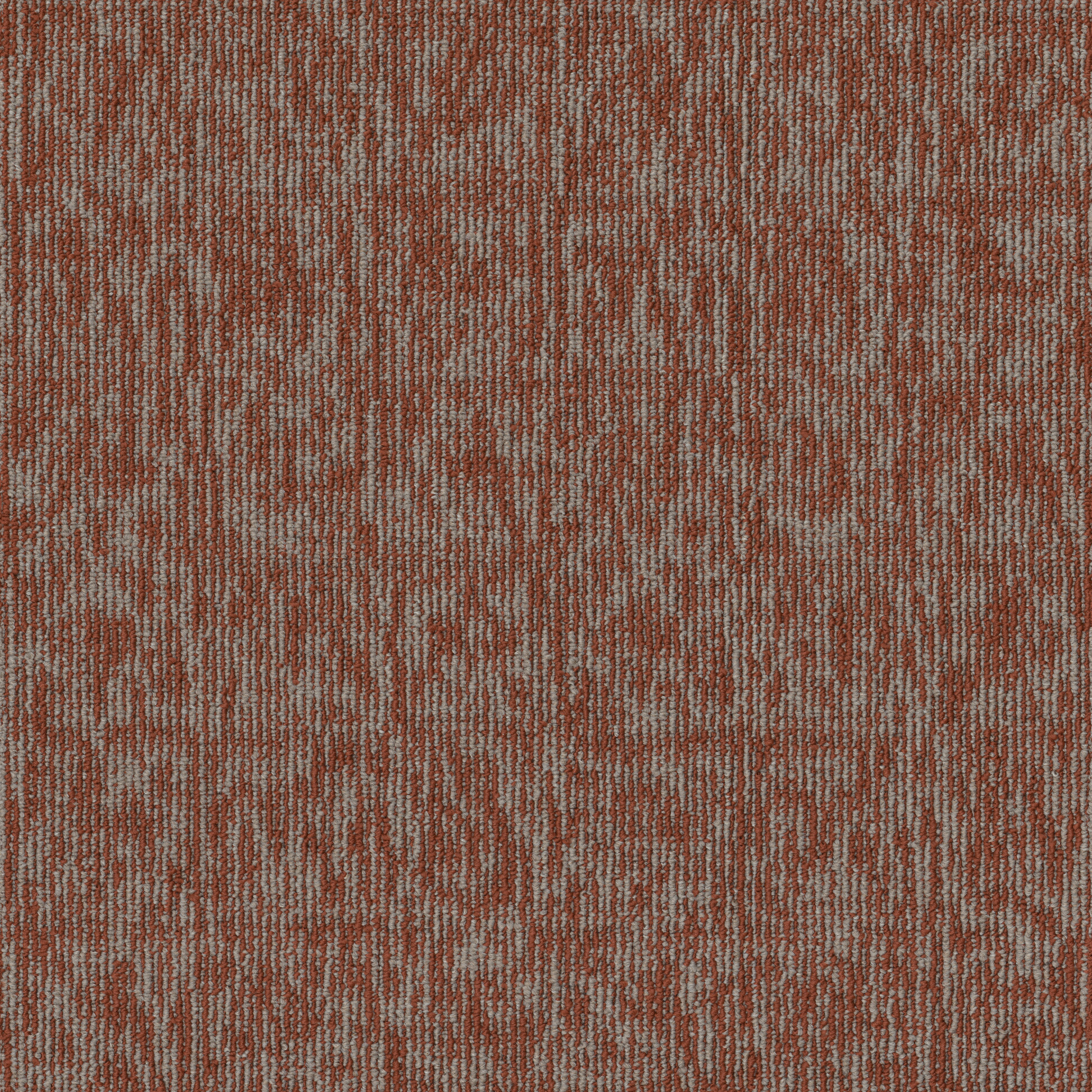 ELEMENTAL-54921-INTEGRAL-00600-main-image