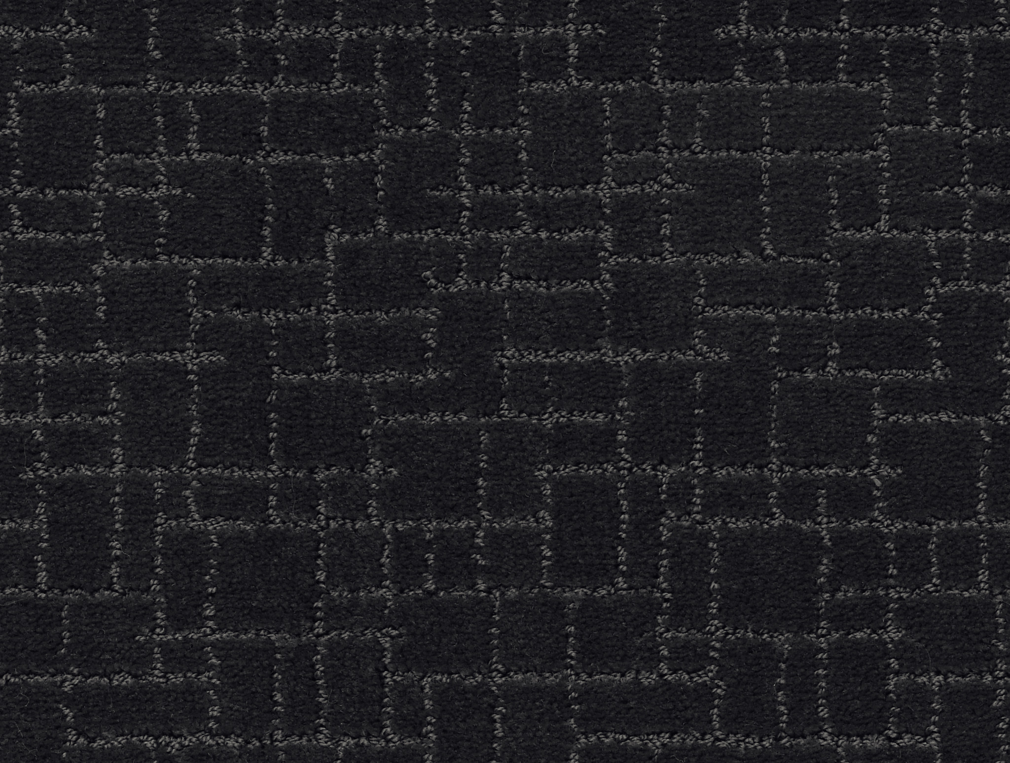 FAUX PAW NIGHT SHADE MAIN