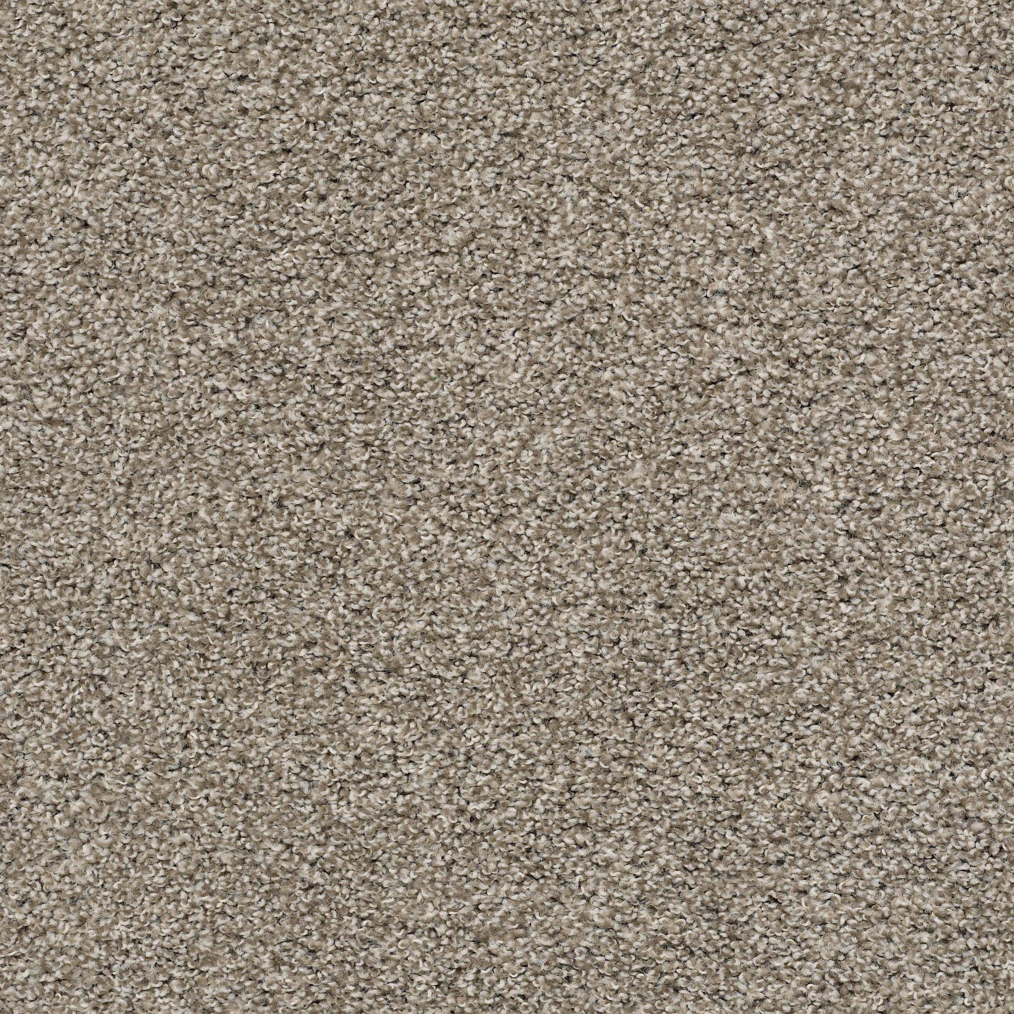 POISED STUDIO LOFT MAIN