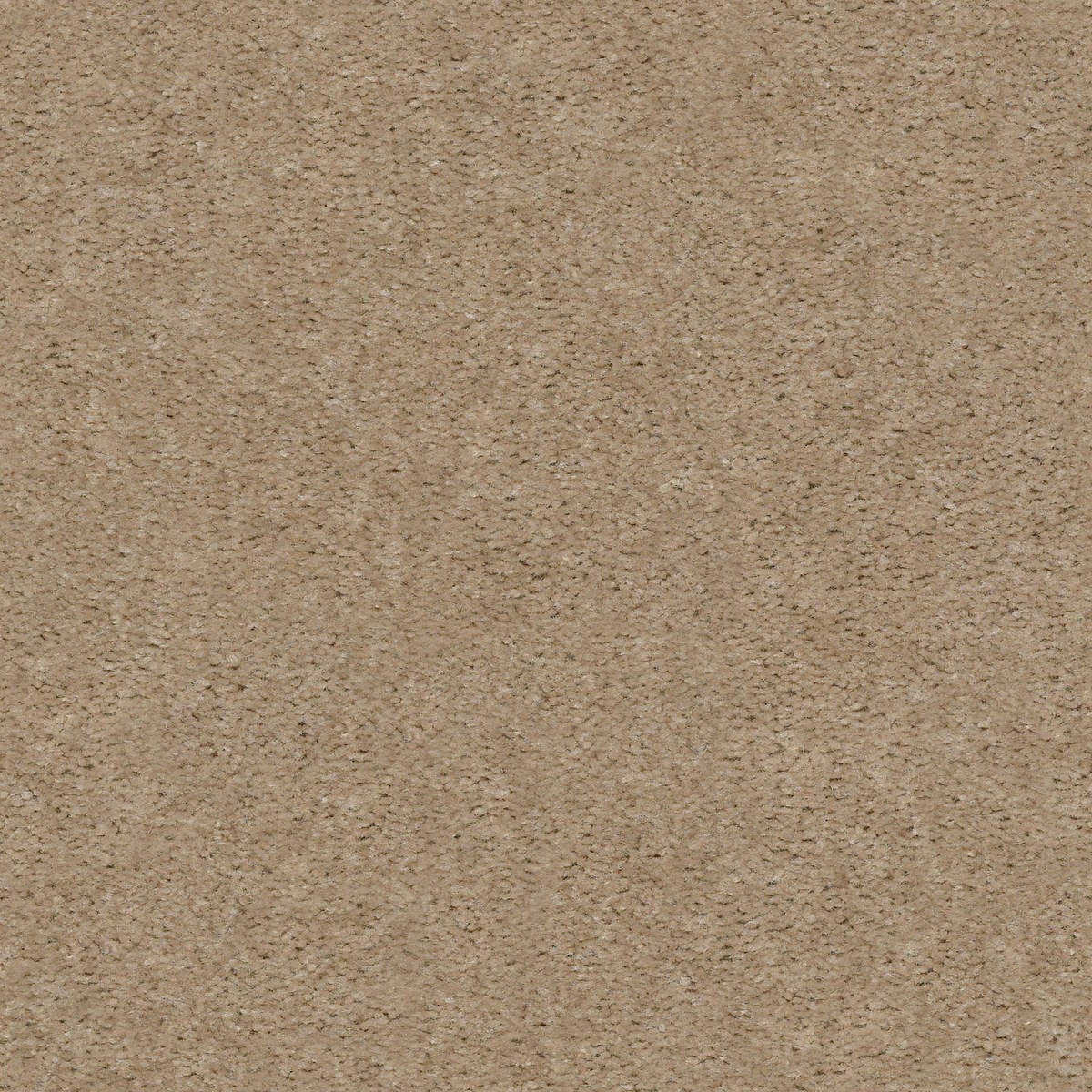 Shaw Floors HEROIC — ARTISAN CRAFT