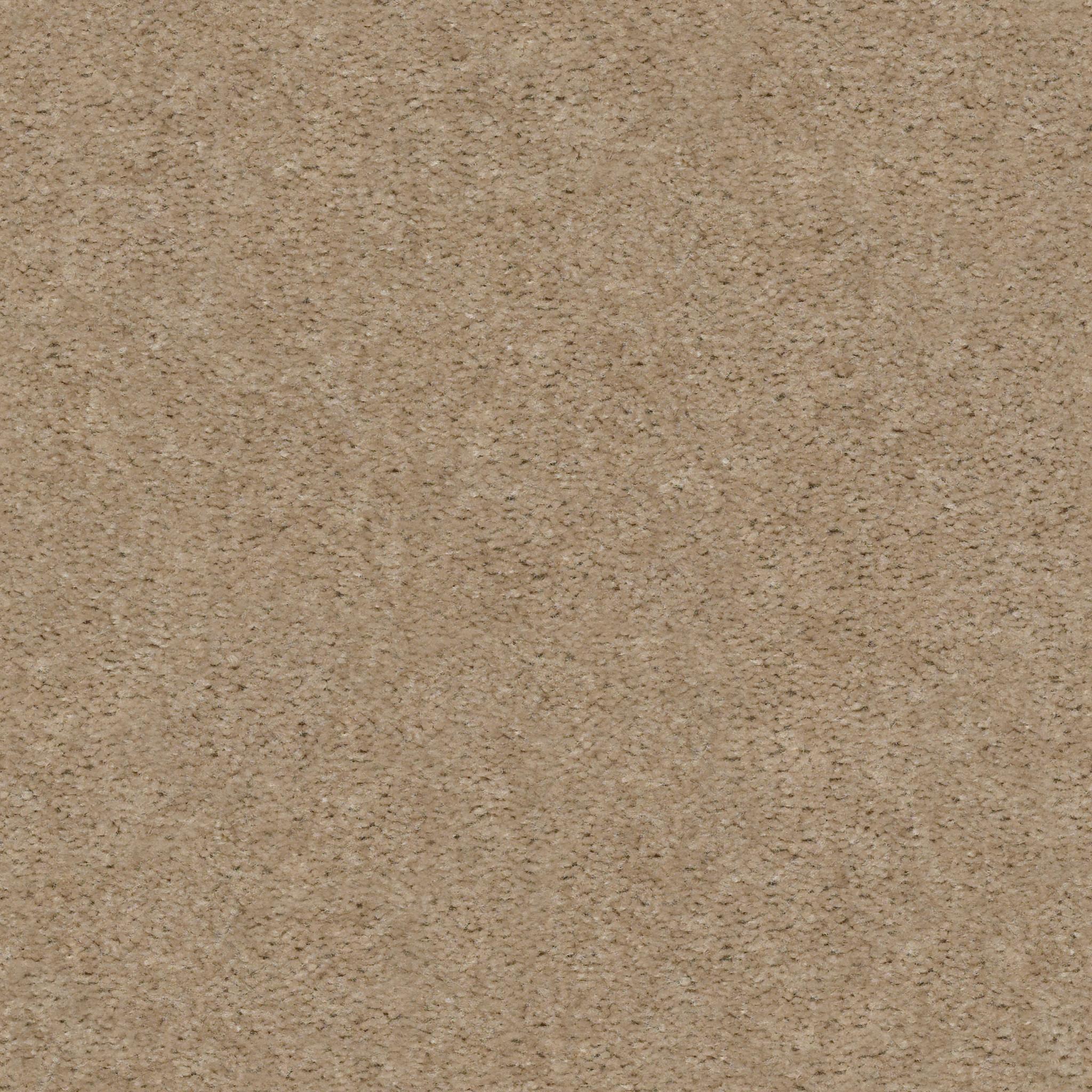 Affirmed by Shaw Floors