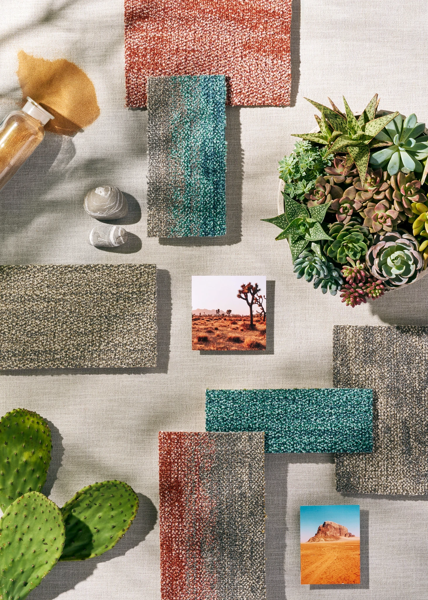 Swatches of commercial carpet tile in red, teal, and beige colors with succulents and desert-themed photos