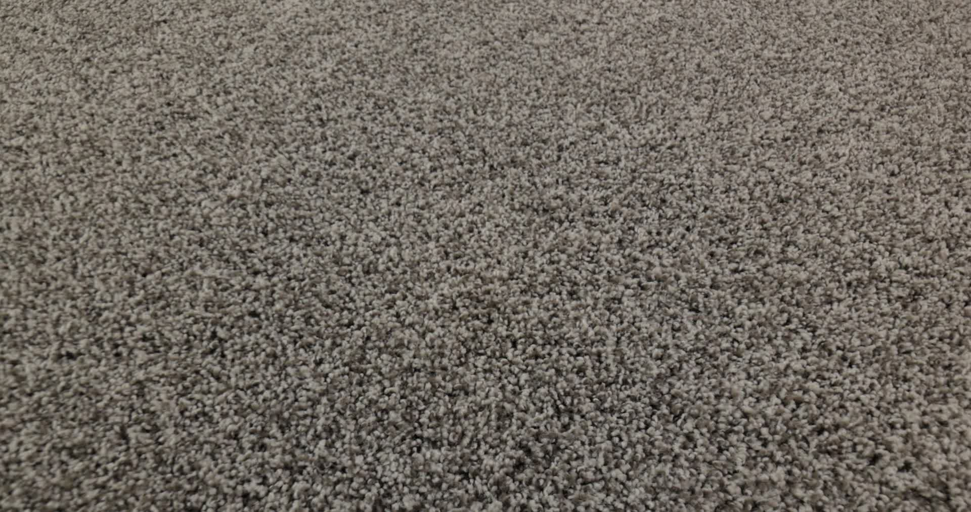 TERRA NOVA CHELSEA FOG 360PROD