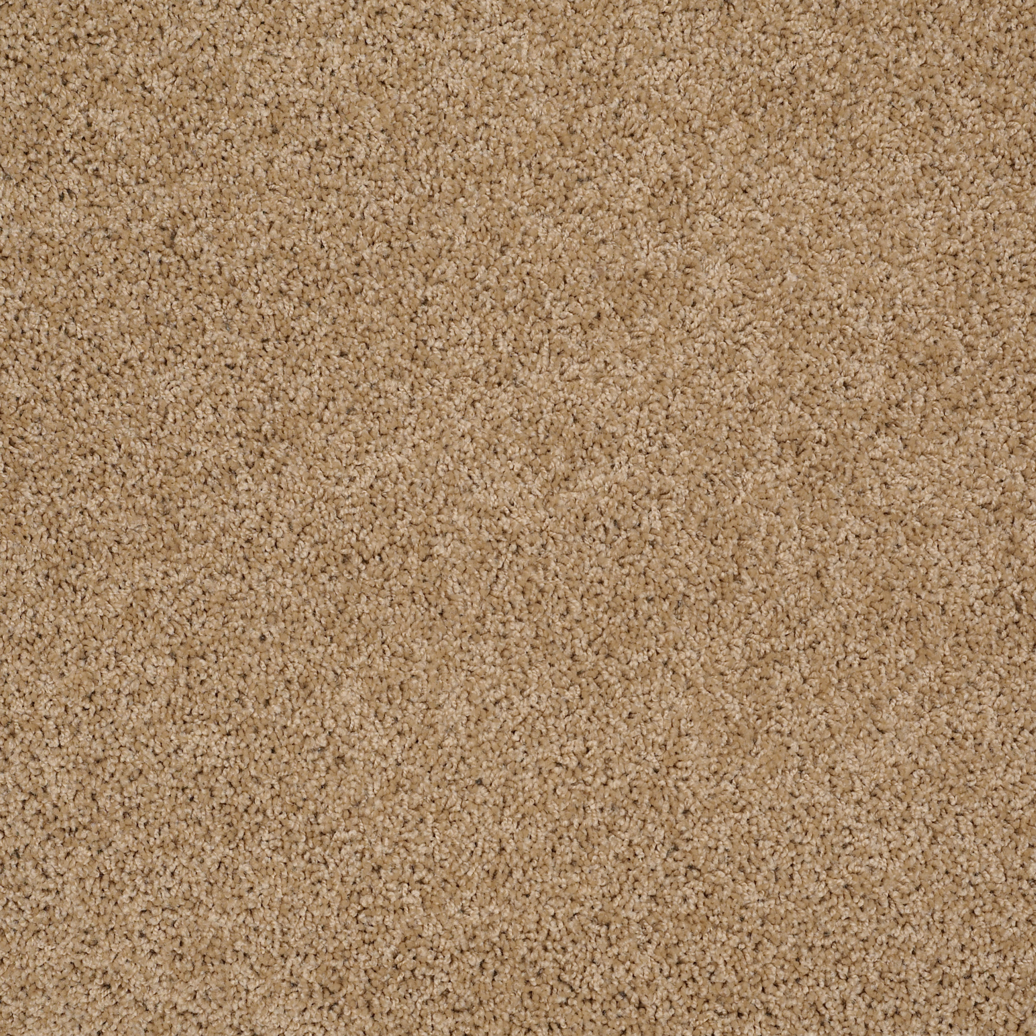 WINTERS HOME FILOLI HONEY MAIN