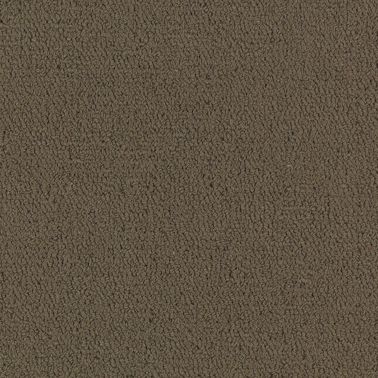 COLOR-ACCENTS-BL-54584-TIMBER-62309-main-image