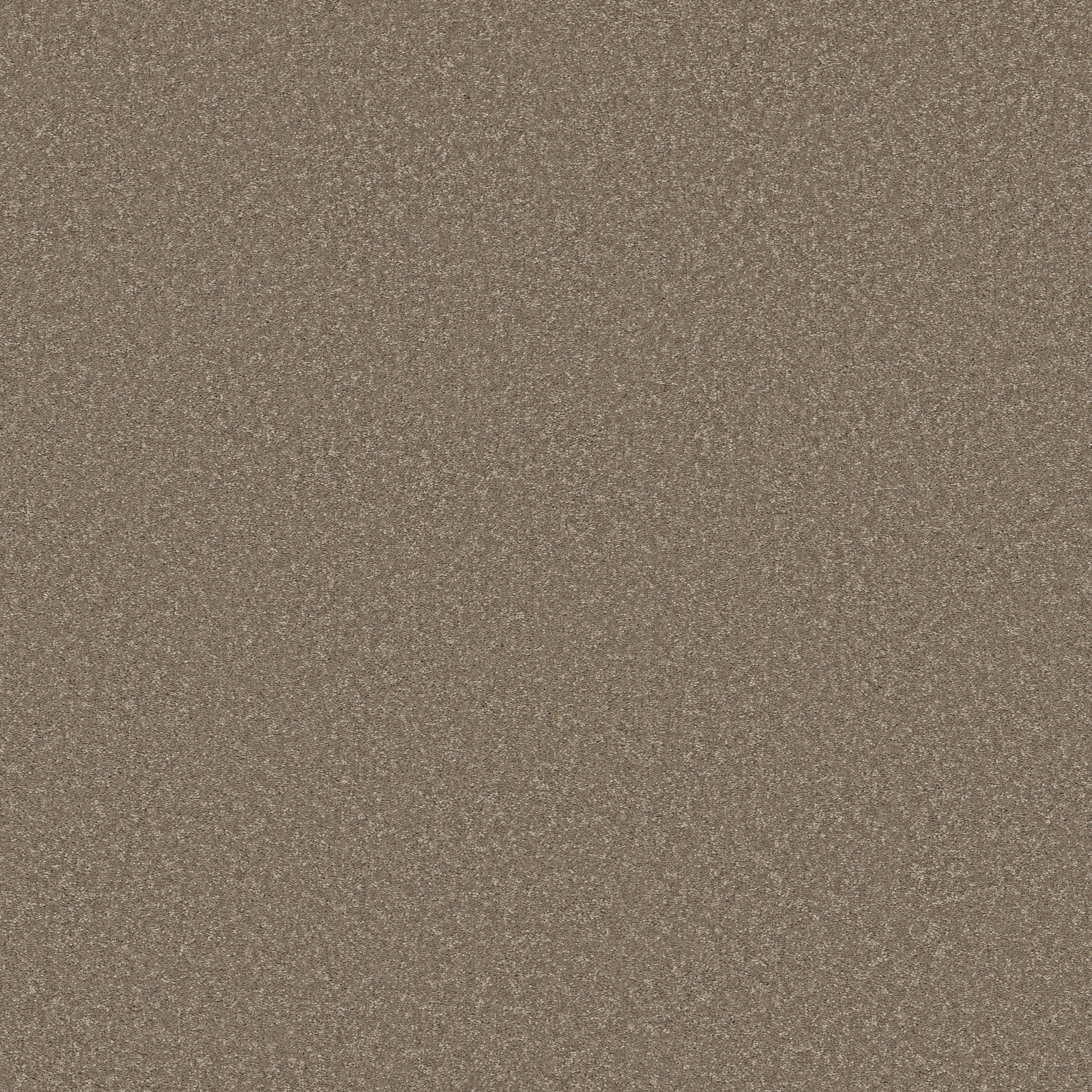 WAY TO GO III CHIC TAUPE MAIN