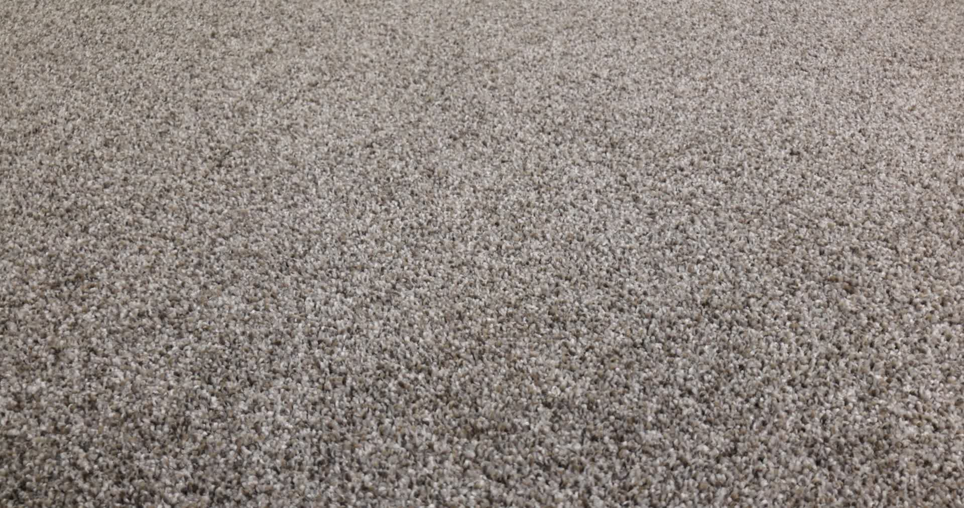 ELEVATED I COFFEE 360PROD