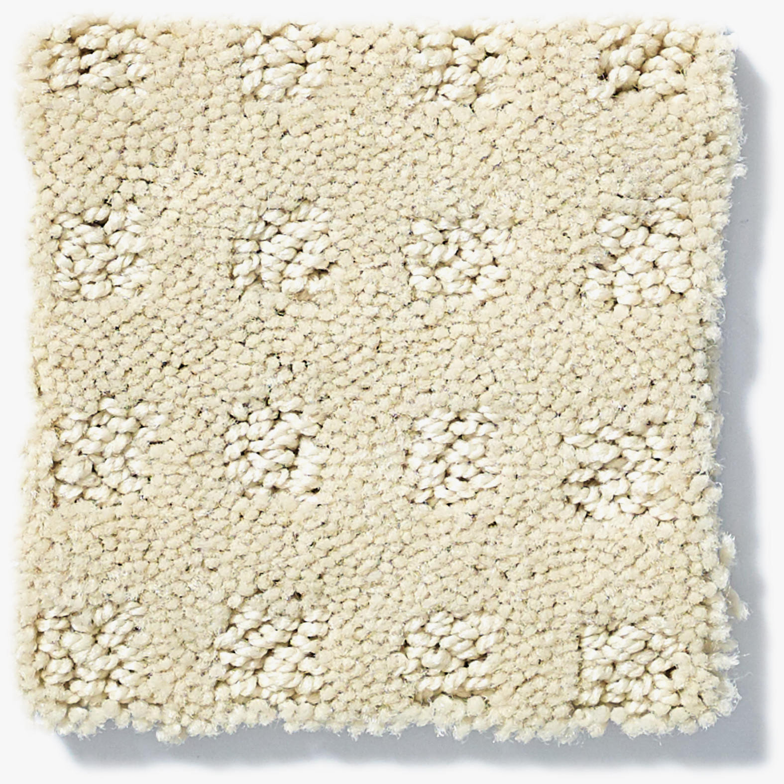 ALLURING DISPOSITION TREASURE SWATCH