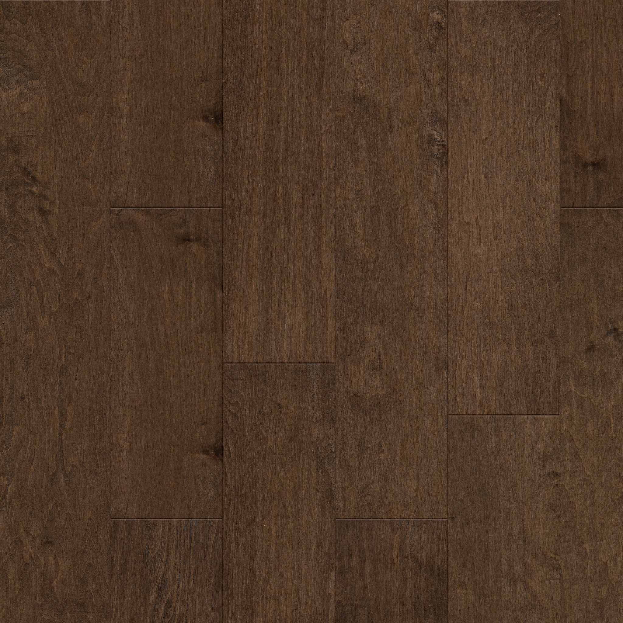 PACIFIC GROVE BISON MAIN