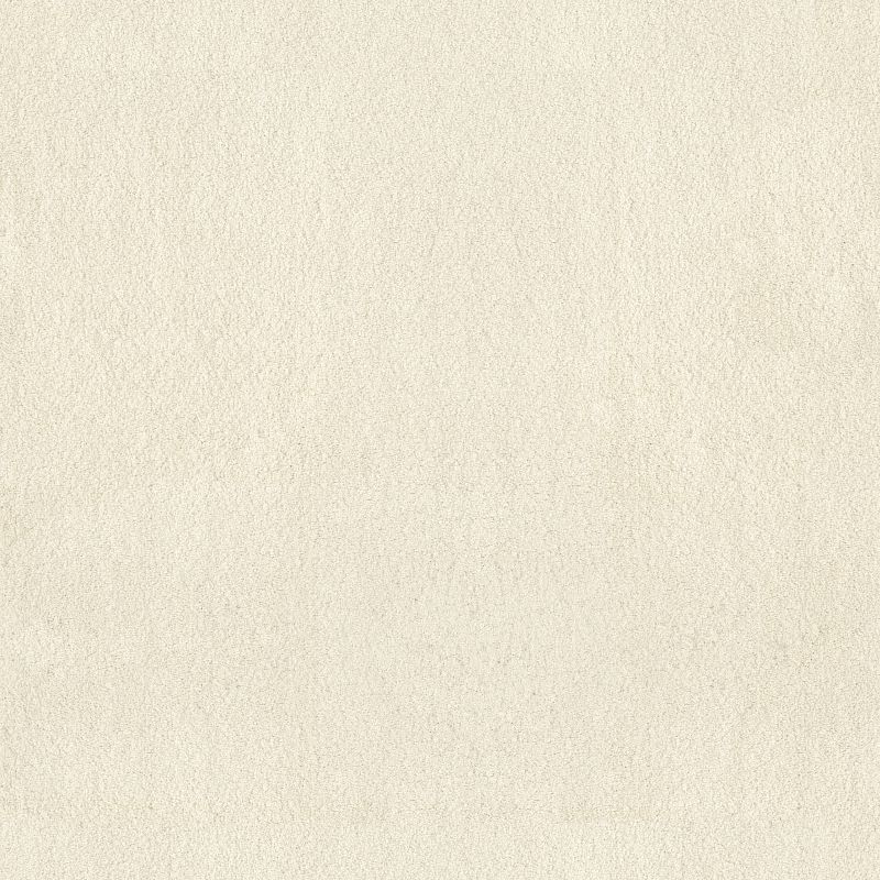 Luxe Feel II Broadloom Carpet in Mesquite color, 100% nylon material, 12ft width, offering a luxurious texture.