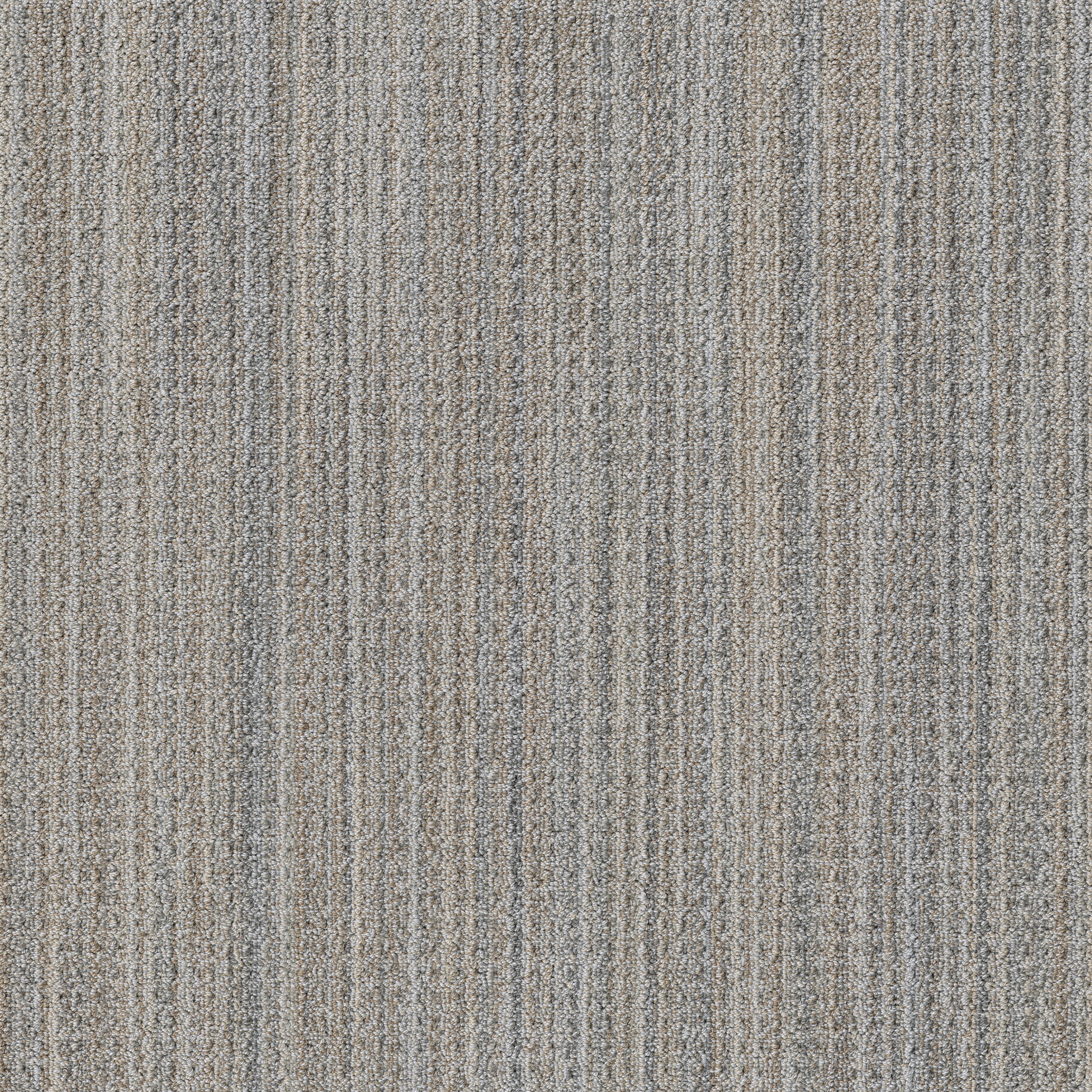 SUNDANCE RAINY SEASON MAIN