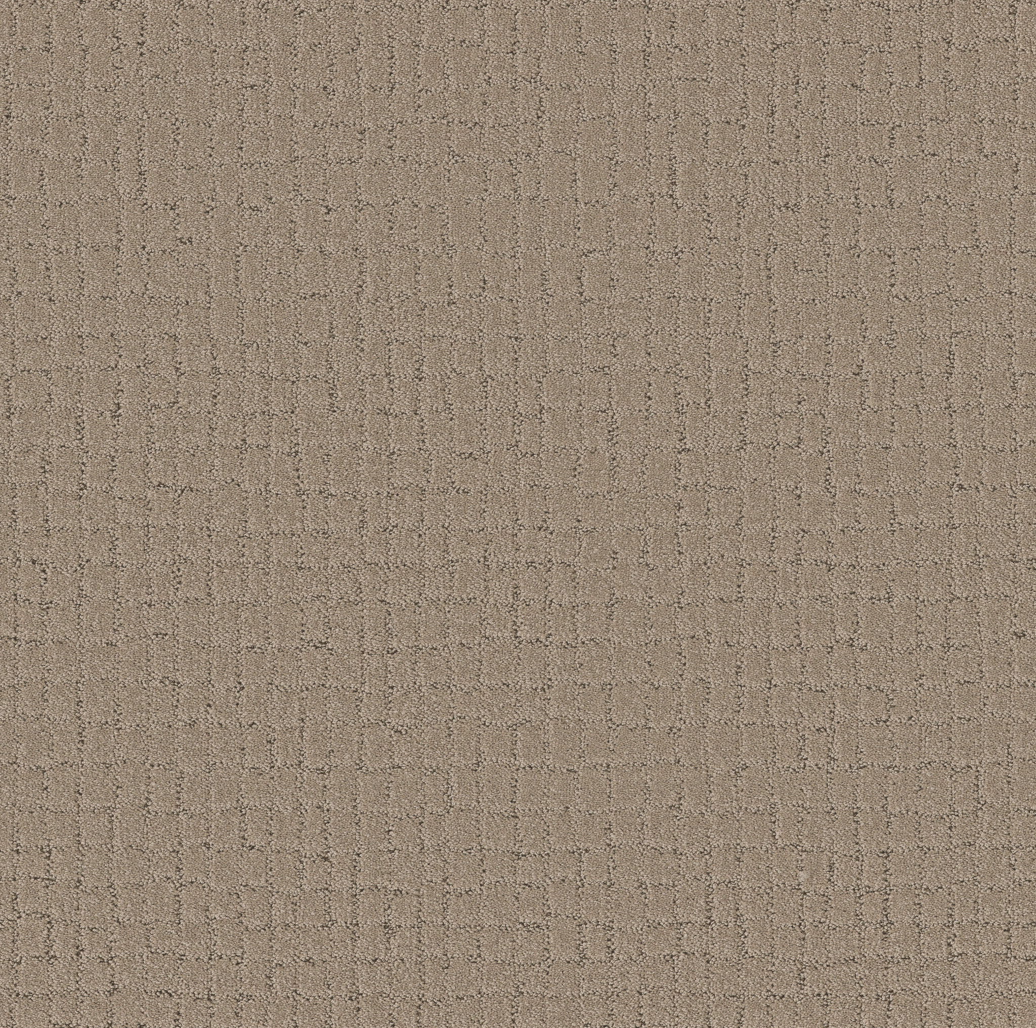 BLOCK PARTY CAMEO MAIN